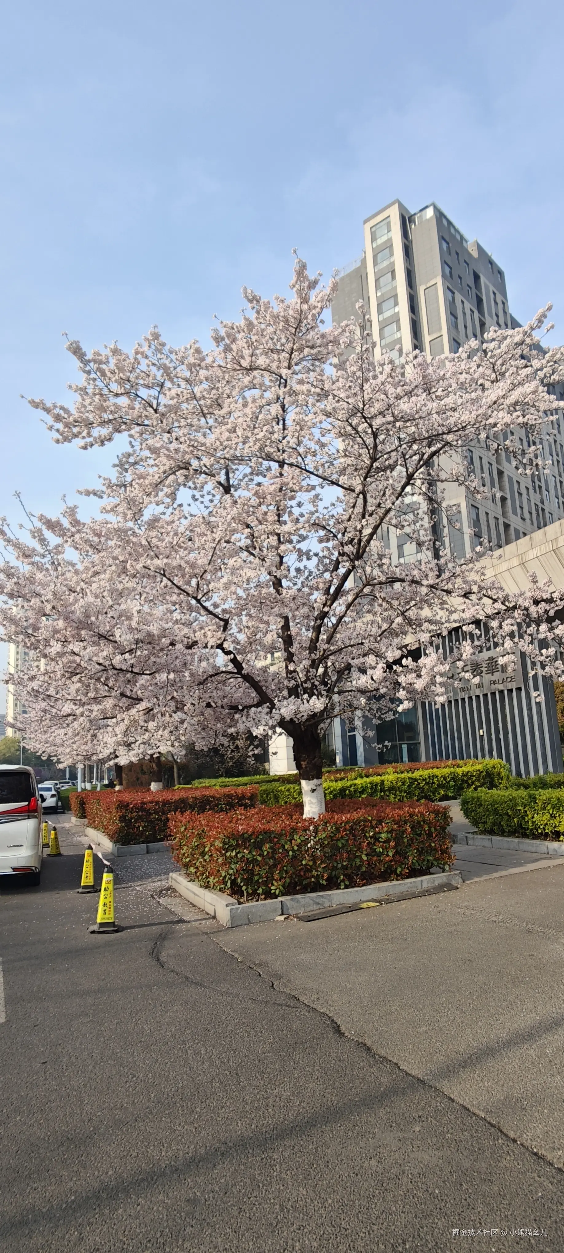 小熊猫幺儿于2026-03-29 14:54发布的图片