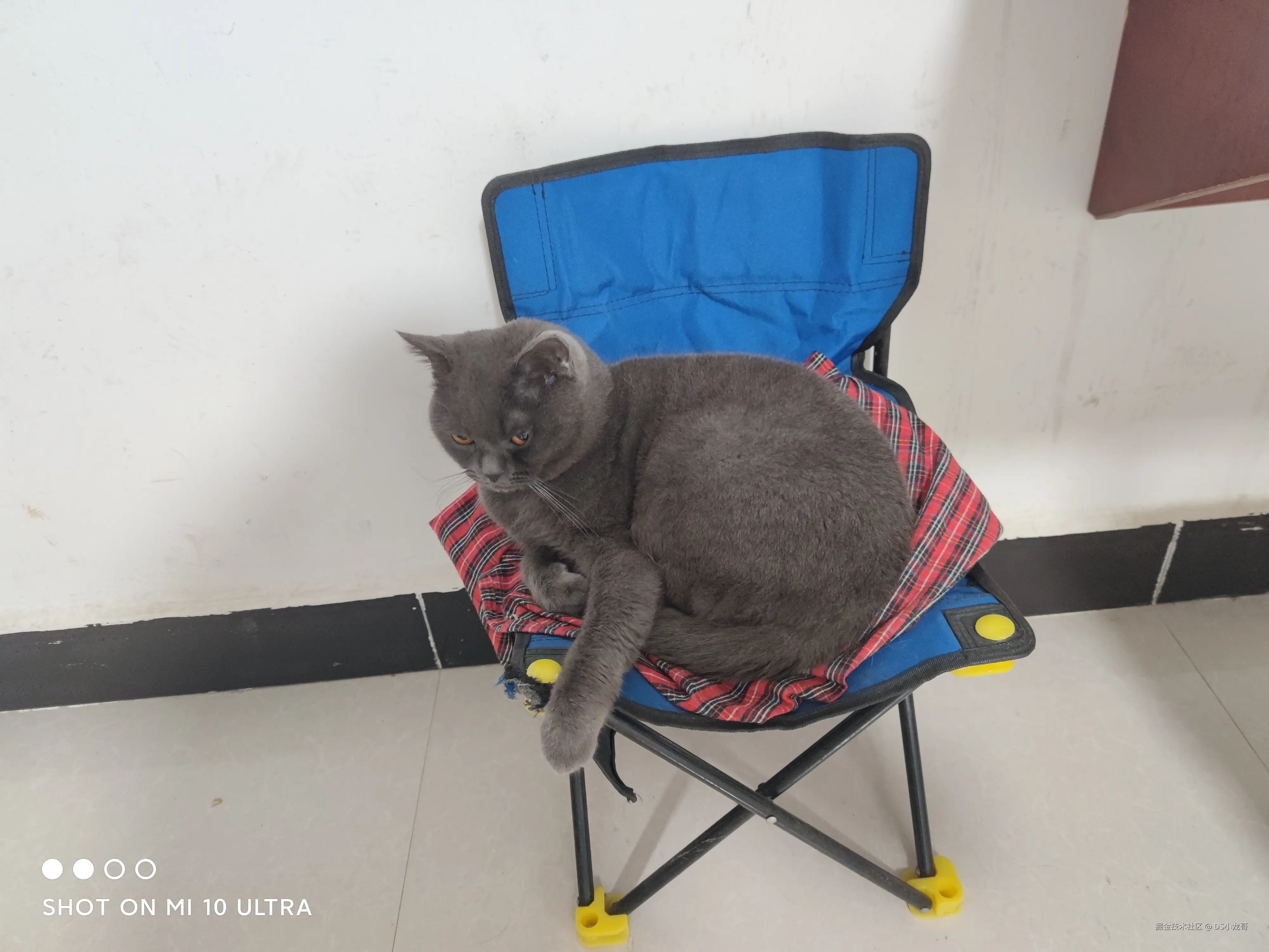 DS小龙哥于2025-07-14 07:26发布的图片