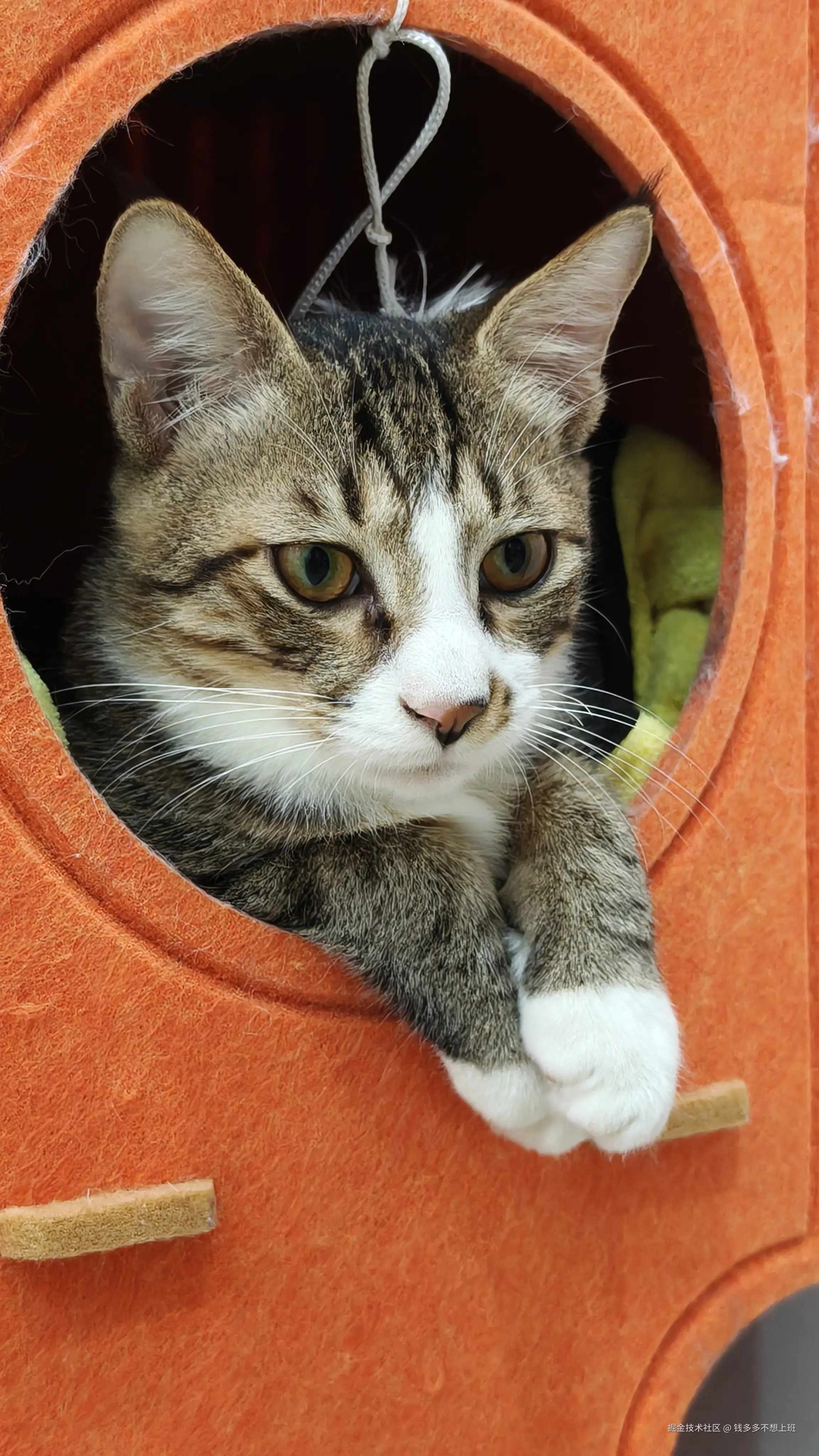 钱多多不想上班于2025-10-20 10:26发布的图片