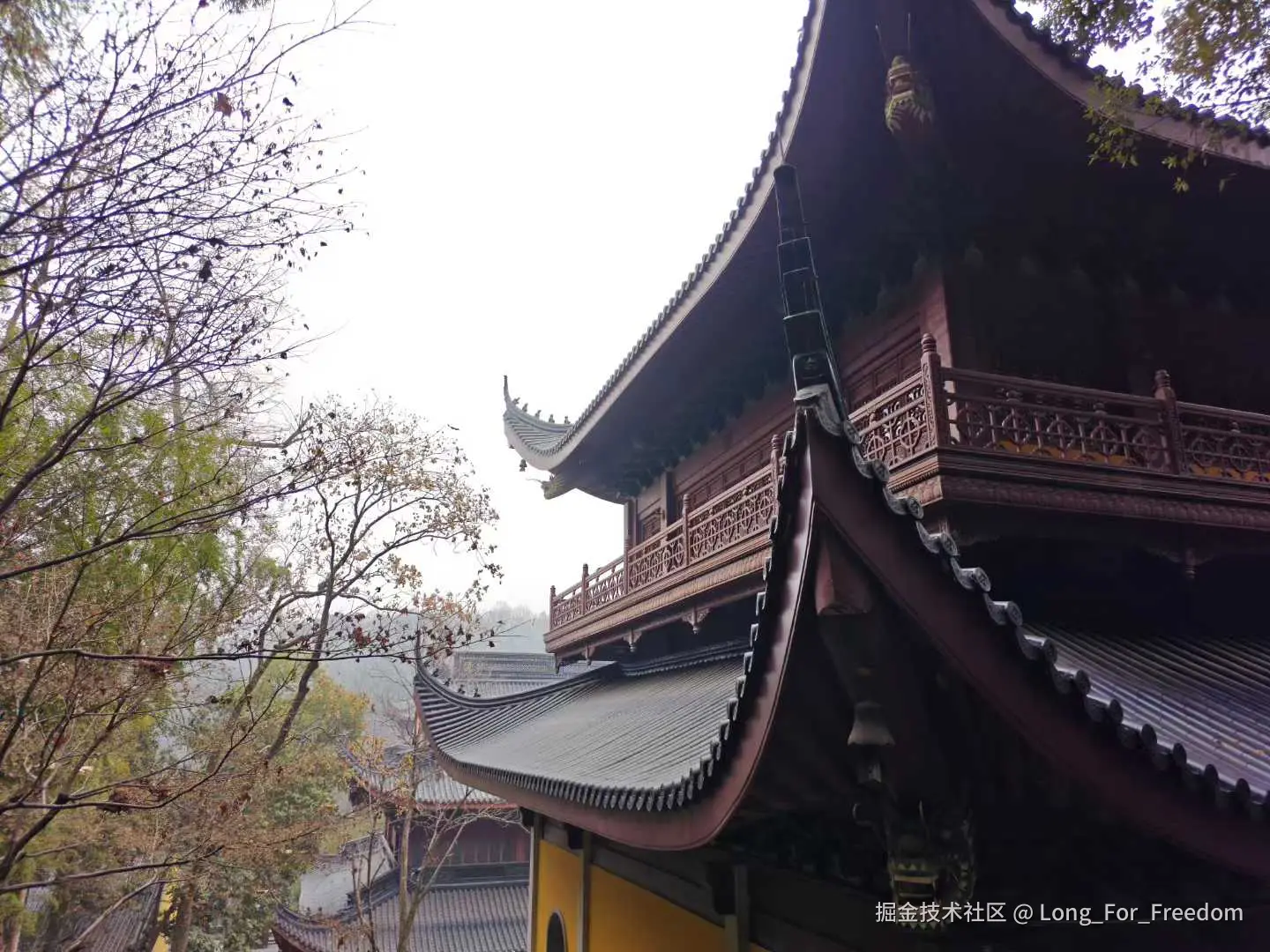 Long_For_Freedom于2026-01-19 10:22发布的图片