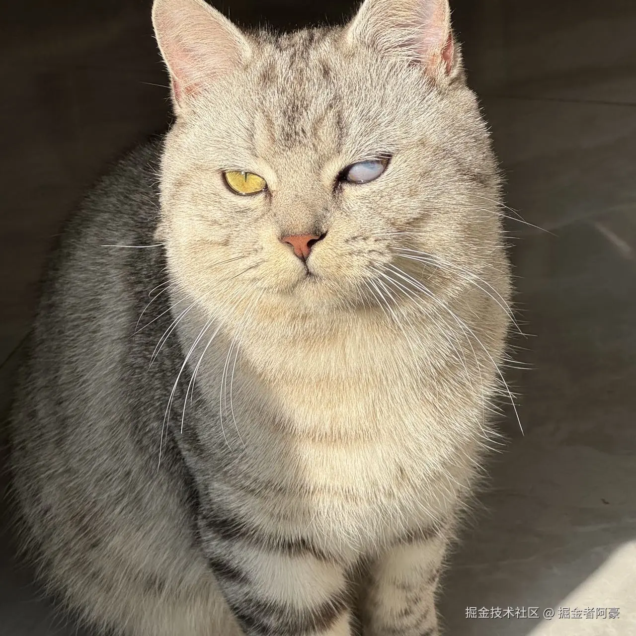 掘金者阿豪于2025-12-27 20:01发布的图片