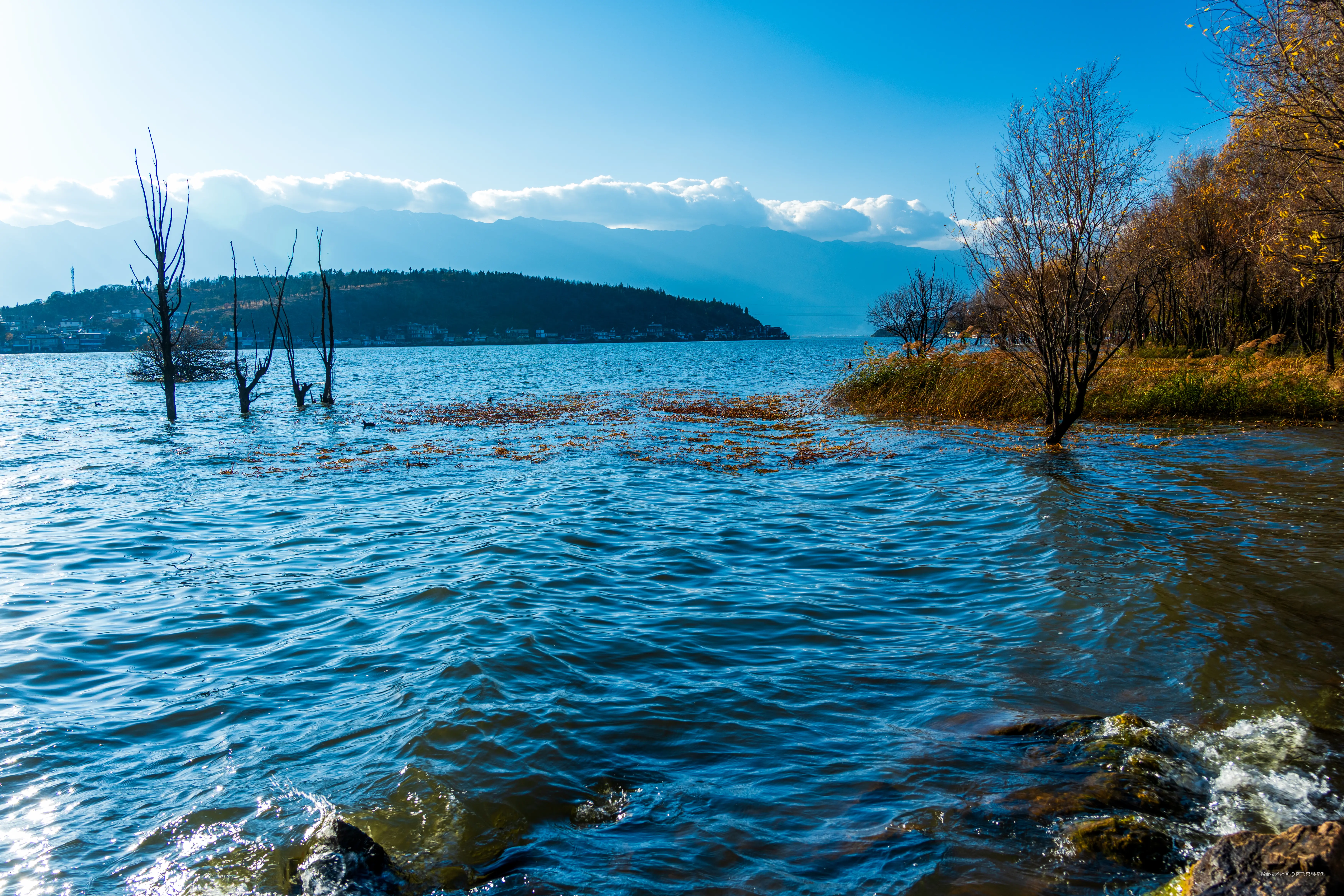阿飞只想摸鱼于2026-02-11 14:43发布的图片
