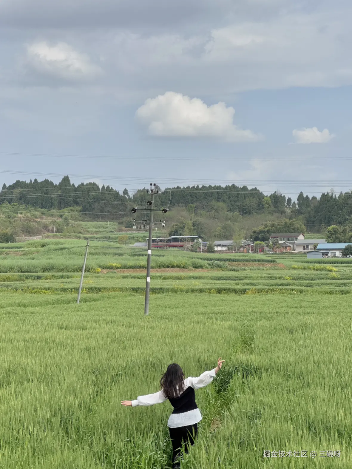 三碗呀于2025-04-09 11:21发布的图片