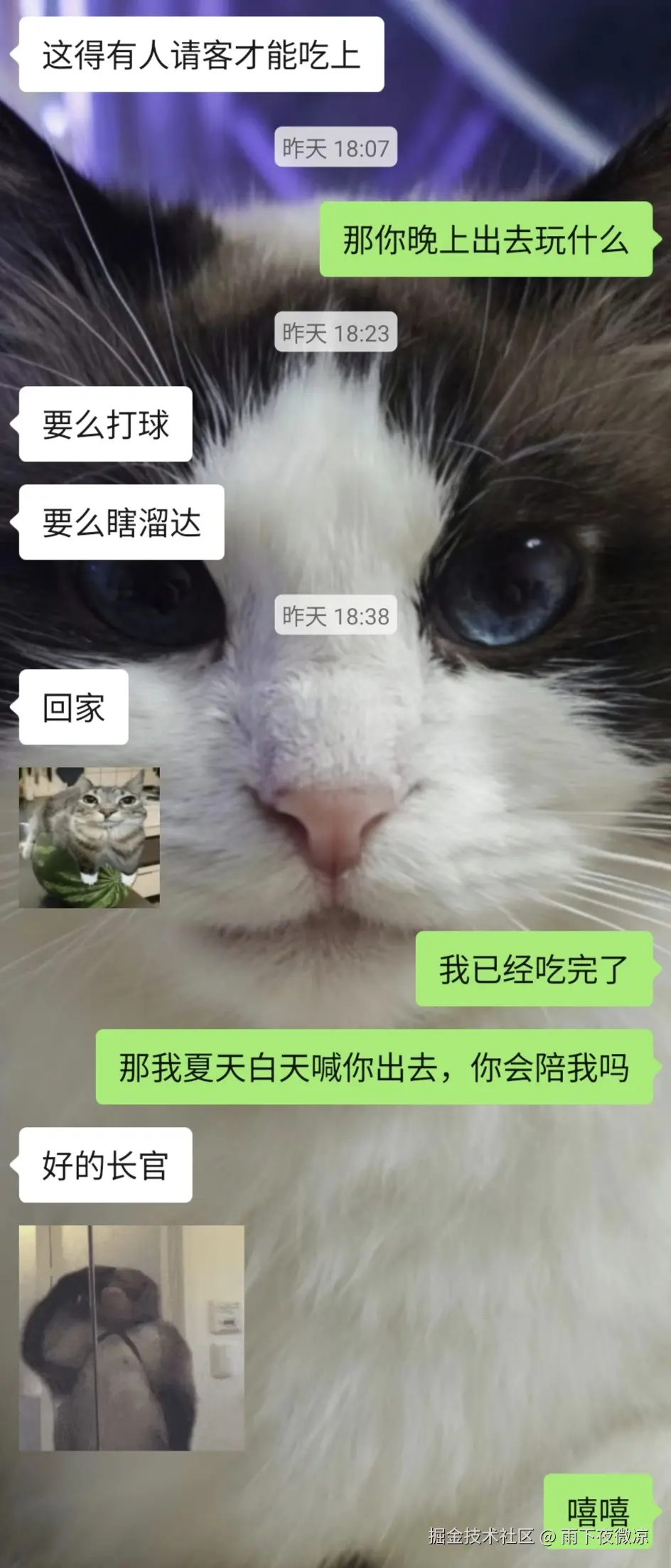 雨下夜微凉于2026-04-02 09:32发布的图片