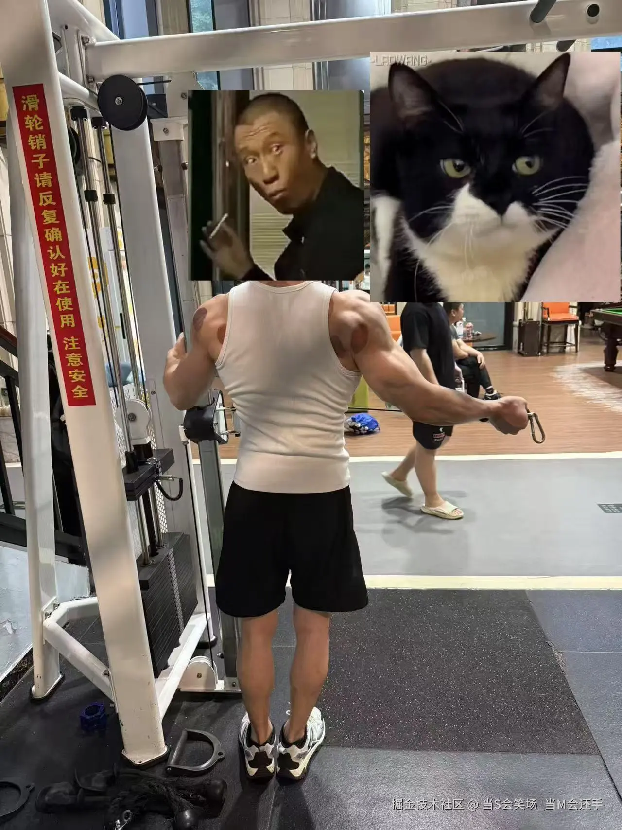 当S会笑场_当M会还手于2025-07-04 09:20发布的图片