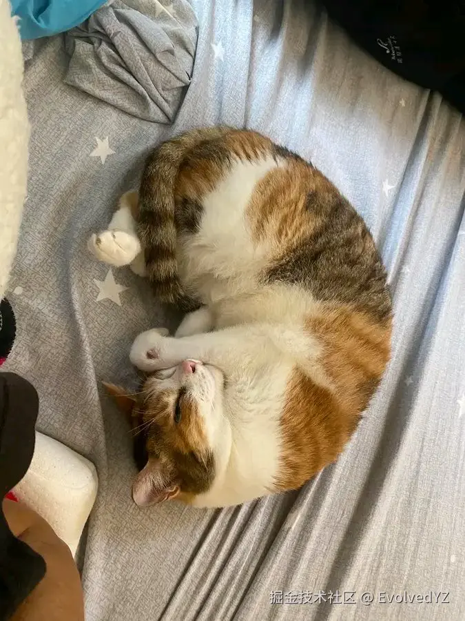 EvolvedYZ于2024-07-23 19:47发布的图片