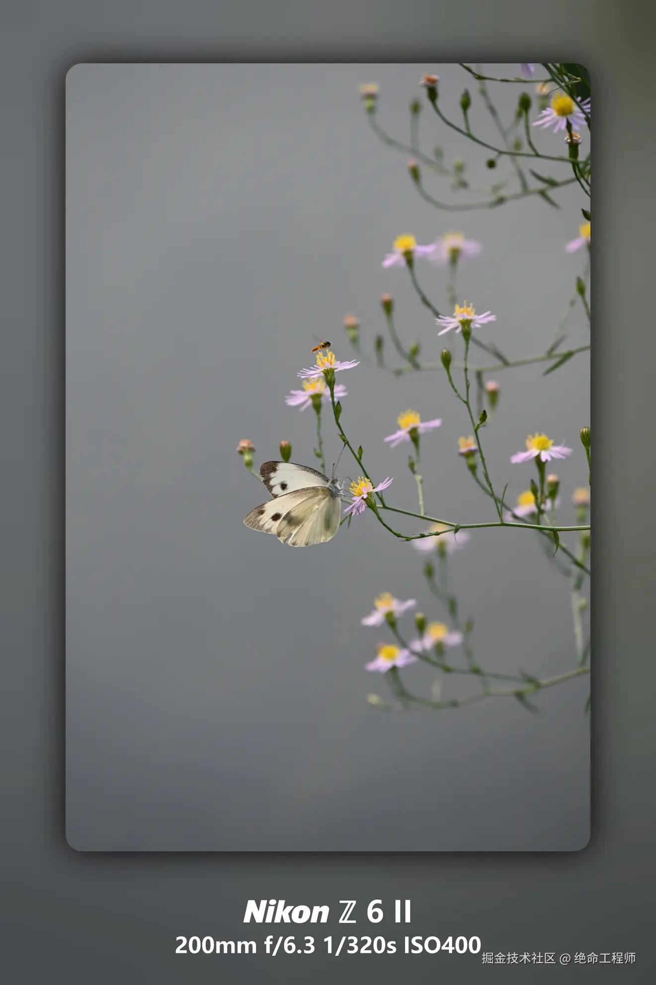 绝命工程师于2025-11-11 09:28发布的图片