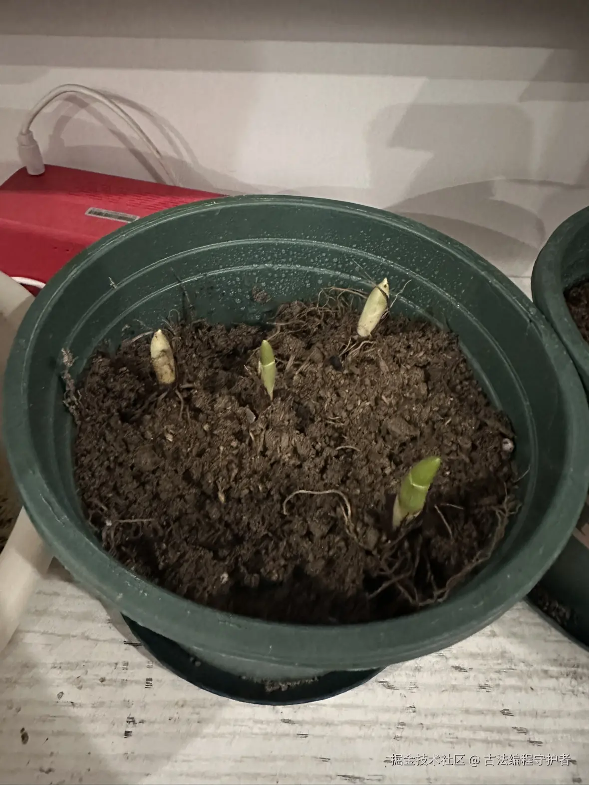 古法编程守护者于2025-11-07 12:30发布的图片