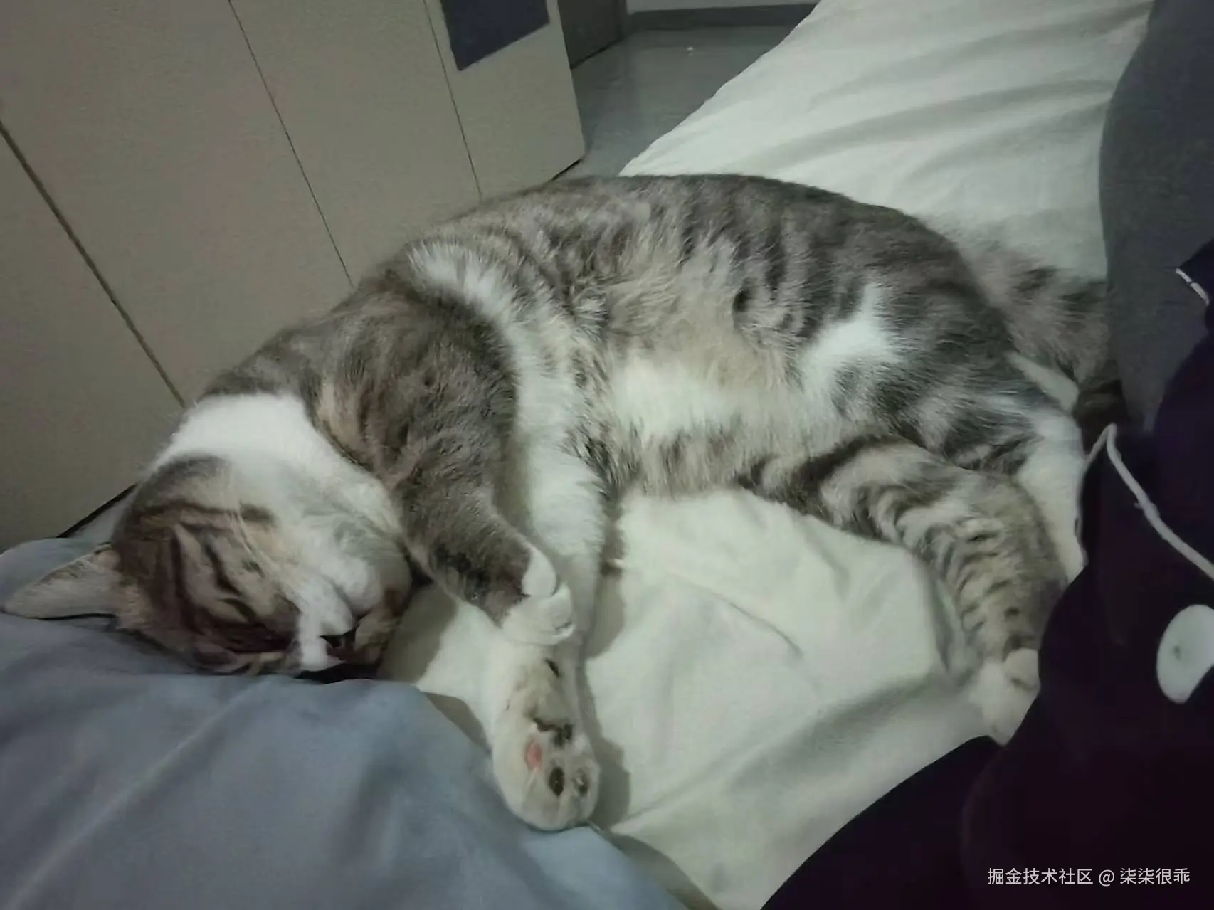 柒柒很乖于2024-12-25 17:54发布的图片