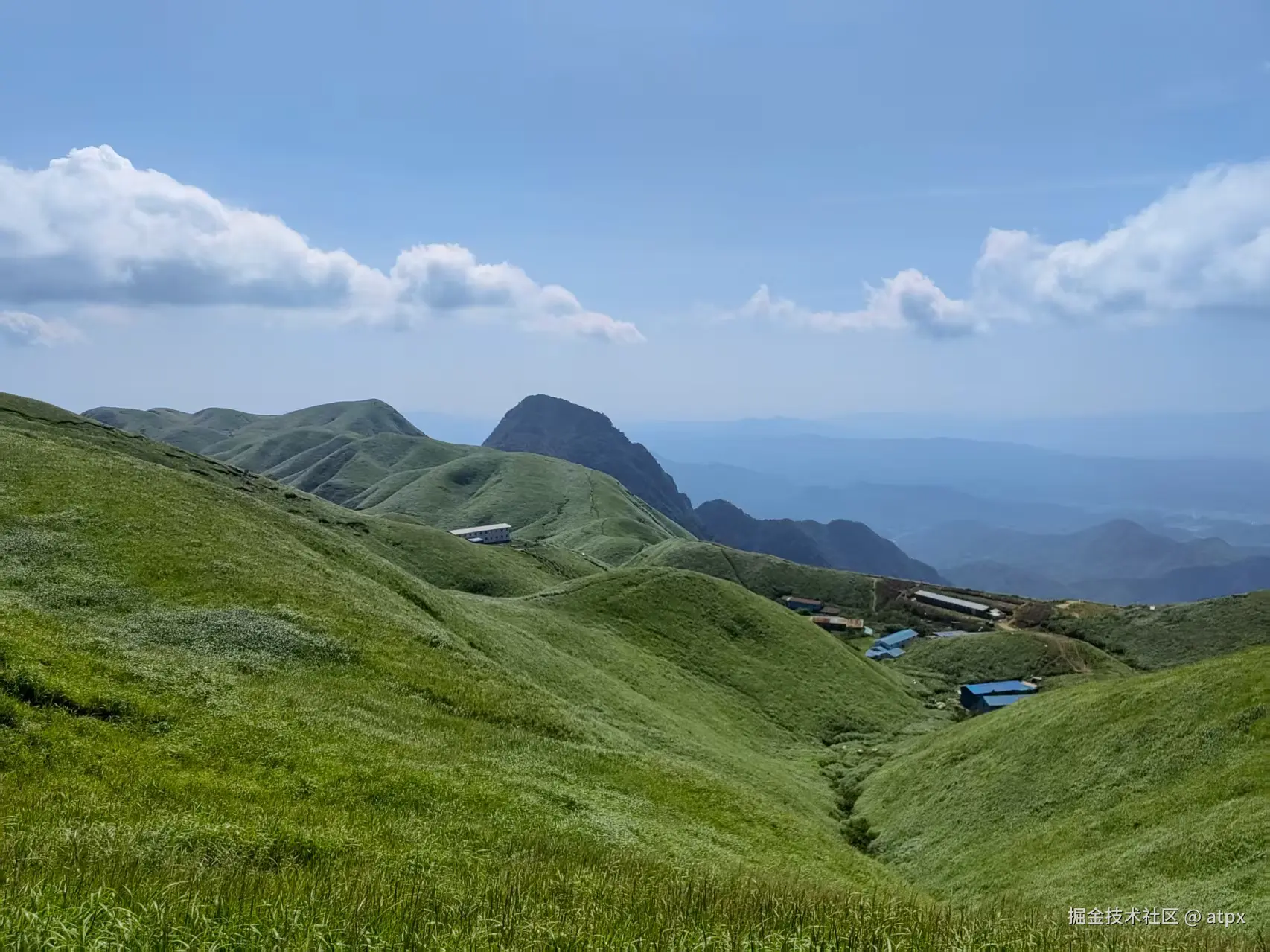 atpx于2025-08-11 10:06发布的图片