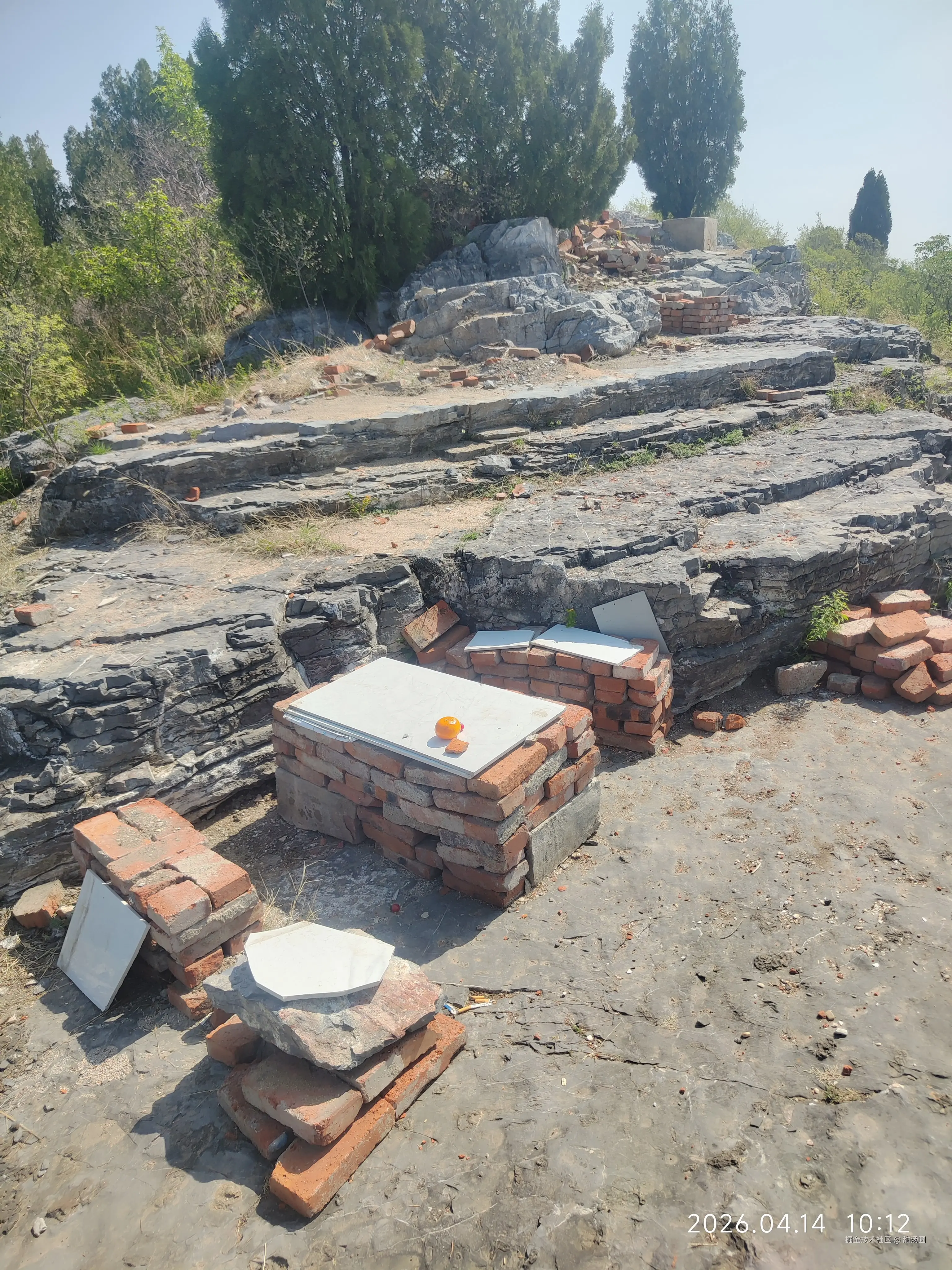 甜汤圆于2026-04-14 10:44发布的图片