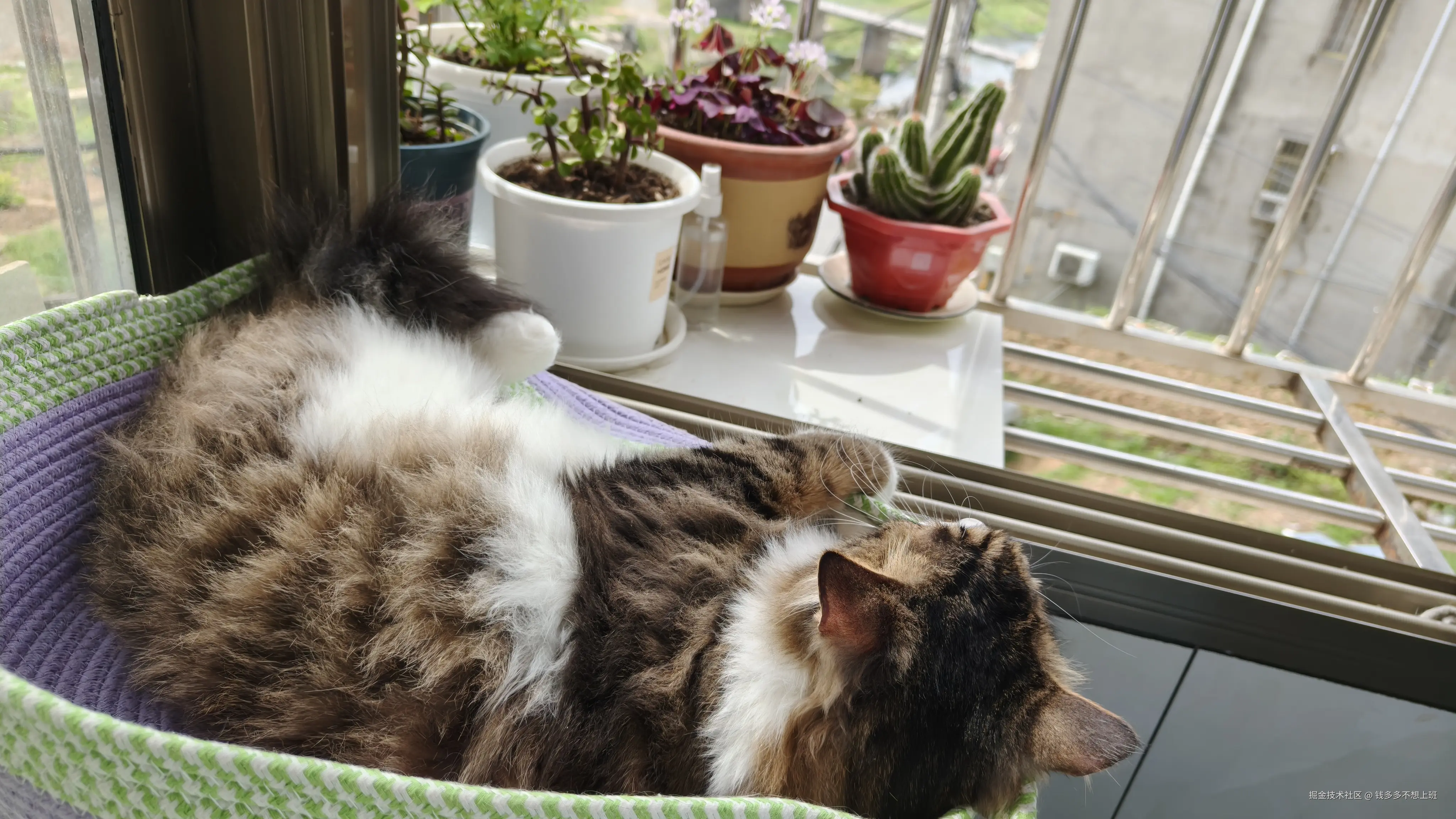 钱多多不想上班于2026-04-07 10:47发布的图片