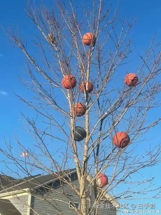 白手套于2025-12-01 10:38发布的图片