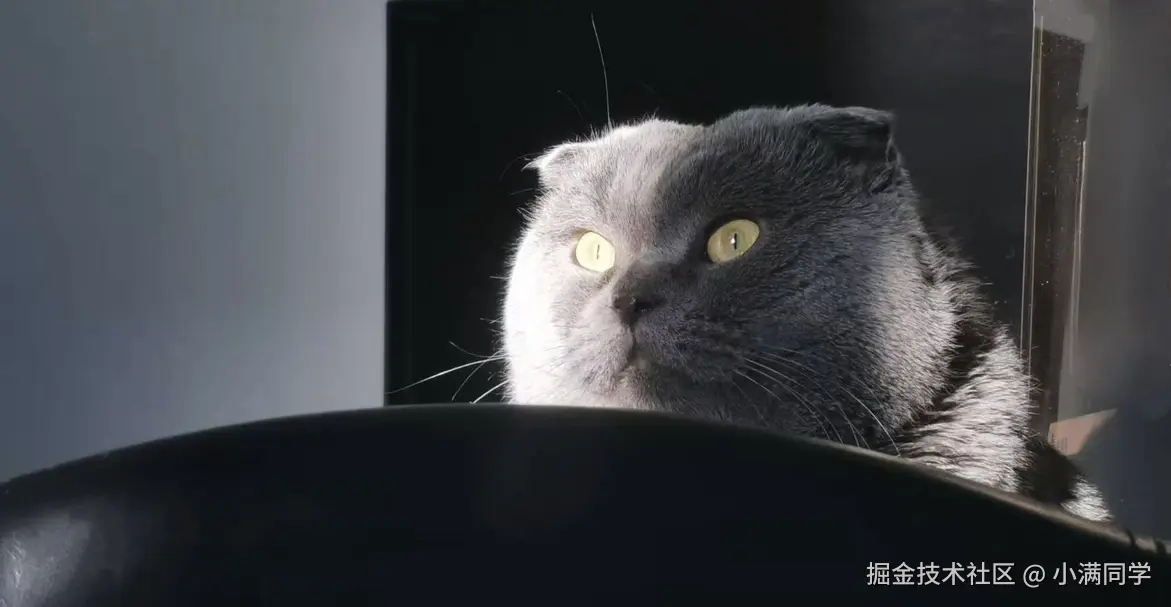 小满同学于2025-11-26 02:22发布的图片