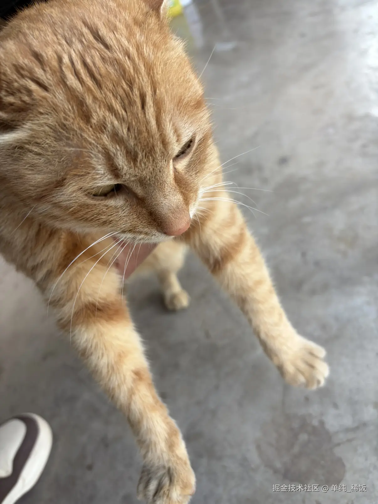 单纯_稀饭于2026-02-26 12:00发布的图片