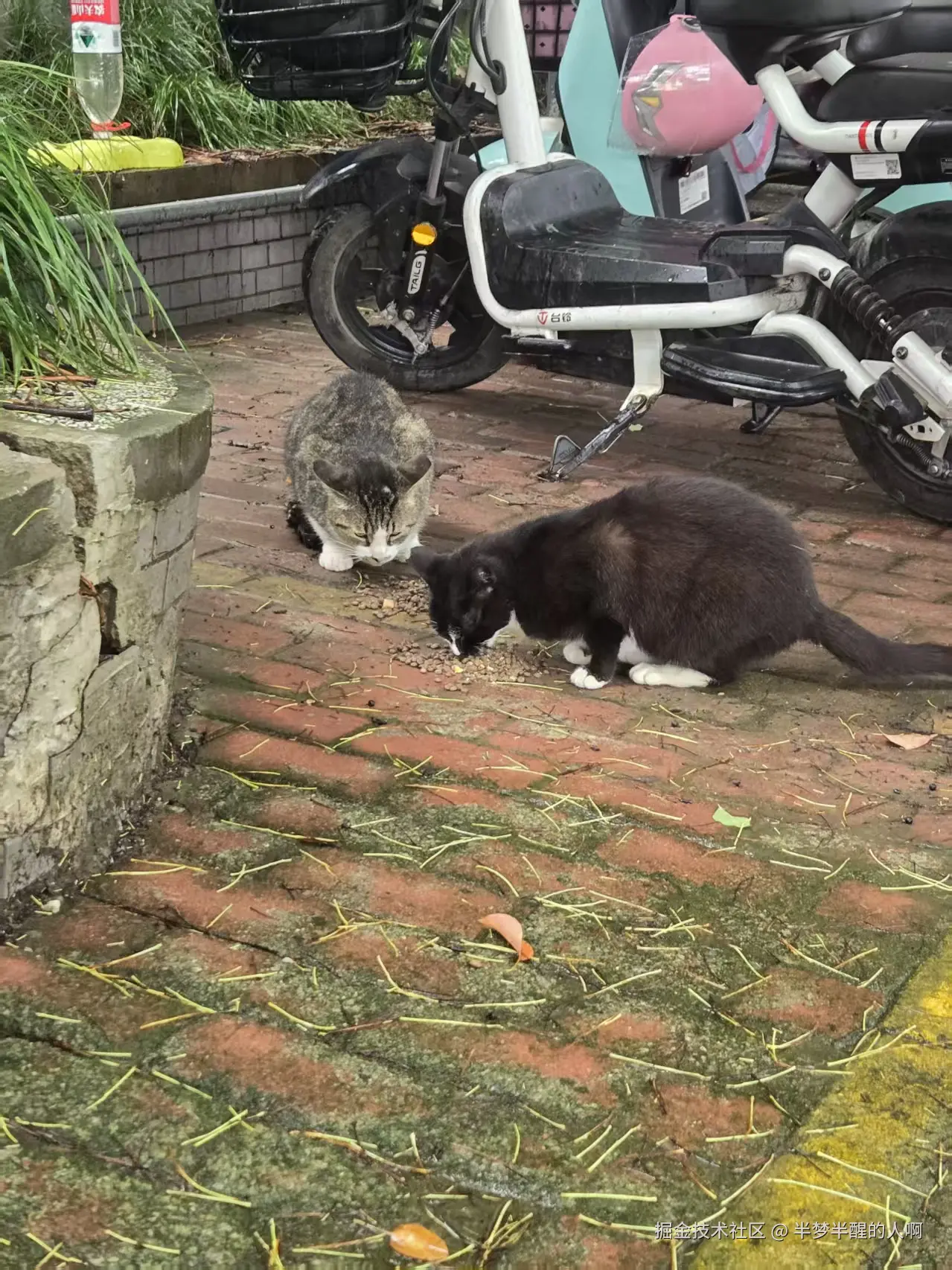 半梦半醒的人啊于2025-10-27 11:28发布的图片