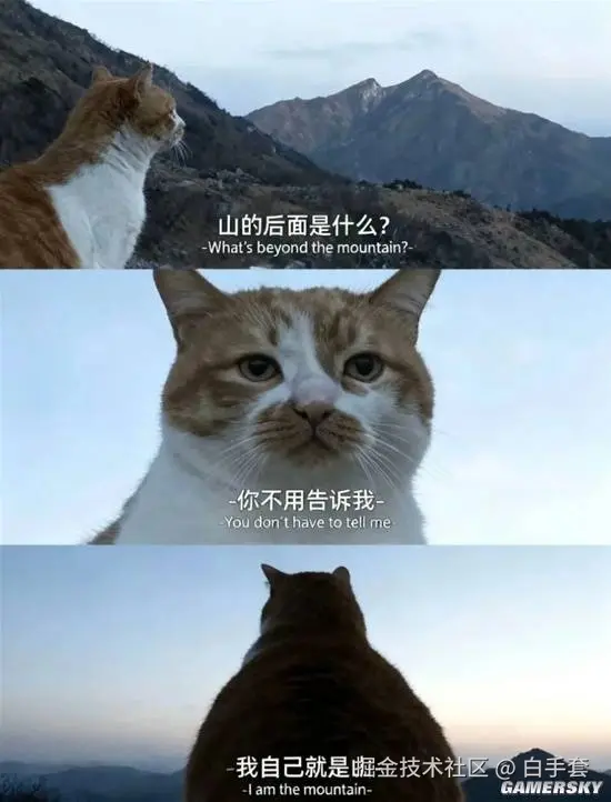 白手套于2025-11-26 15:16发布的图片