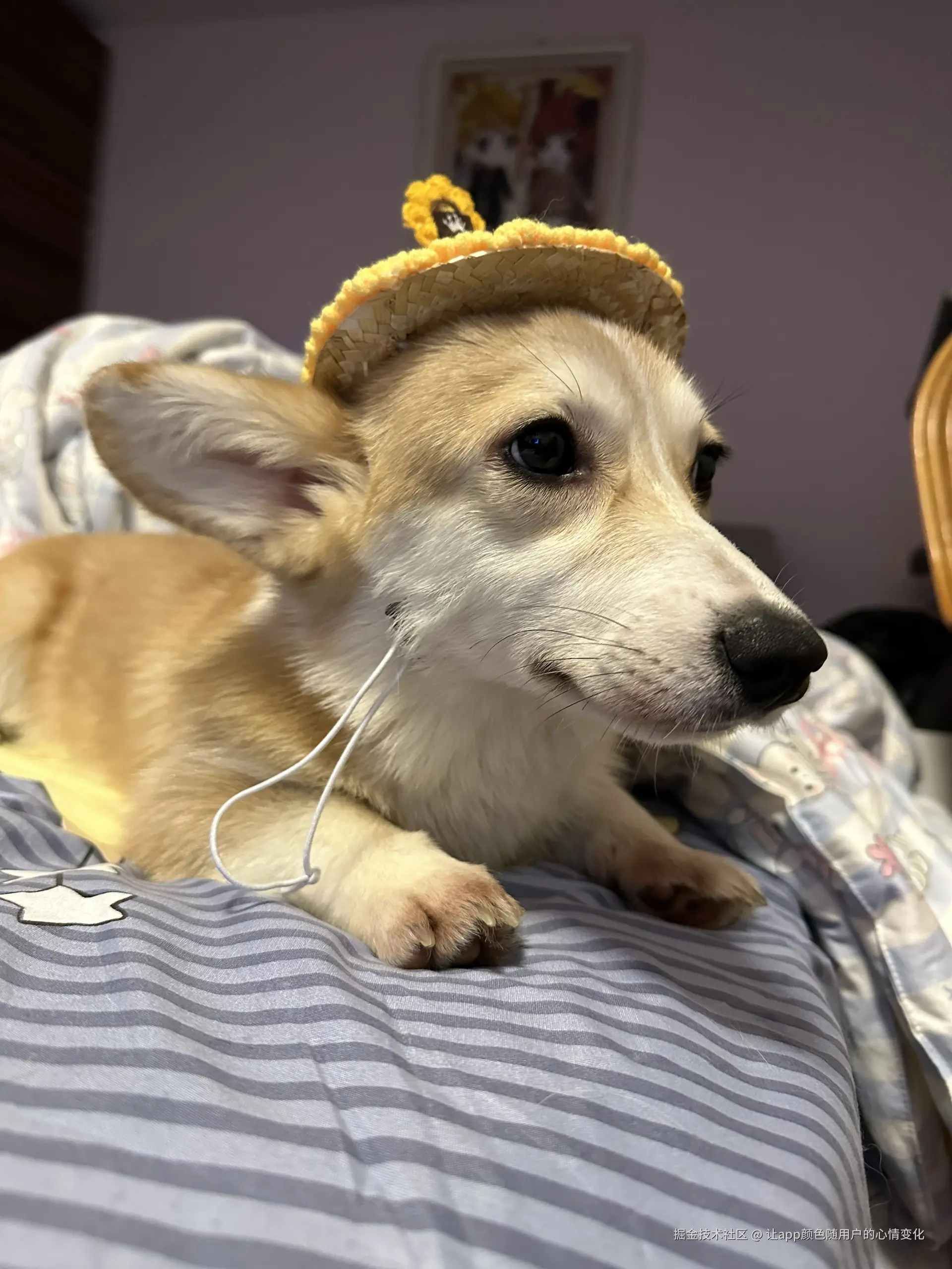 让app颜色随用户的心情变化于2024-08-22 09:26发布的图片