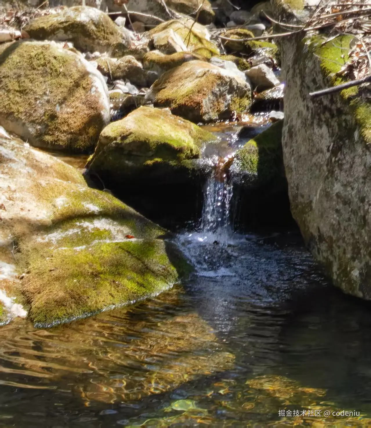 codeniu于2025-04-08 08:33发布的图片