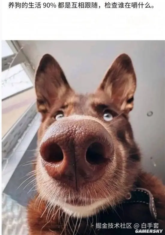 白手套于2026-01-23 09:16发布的图片