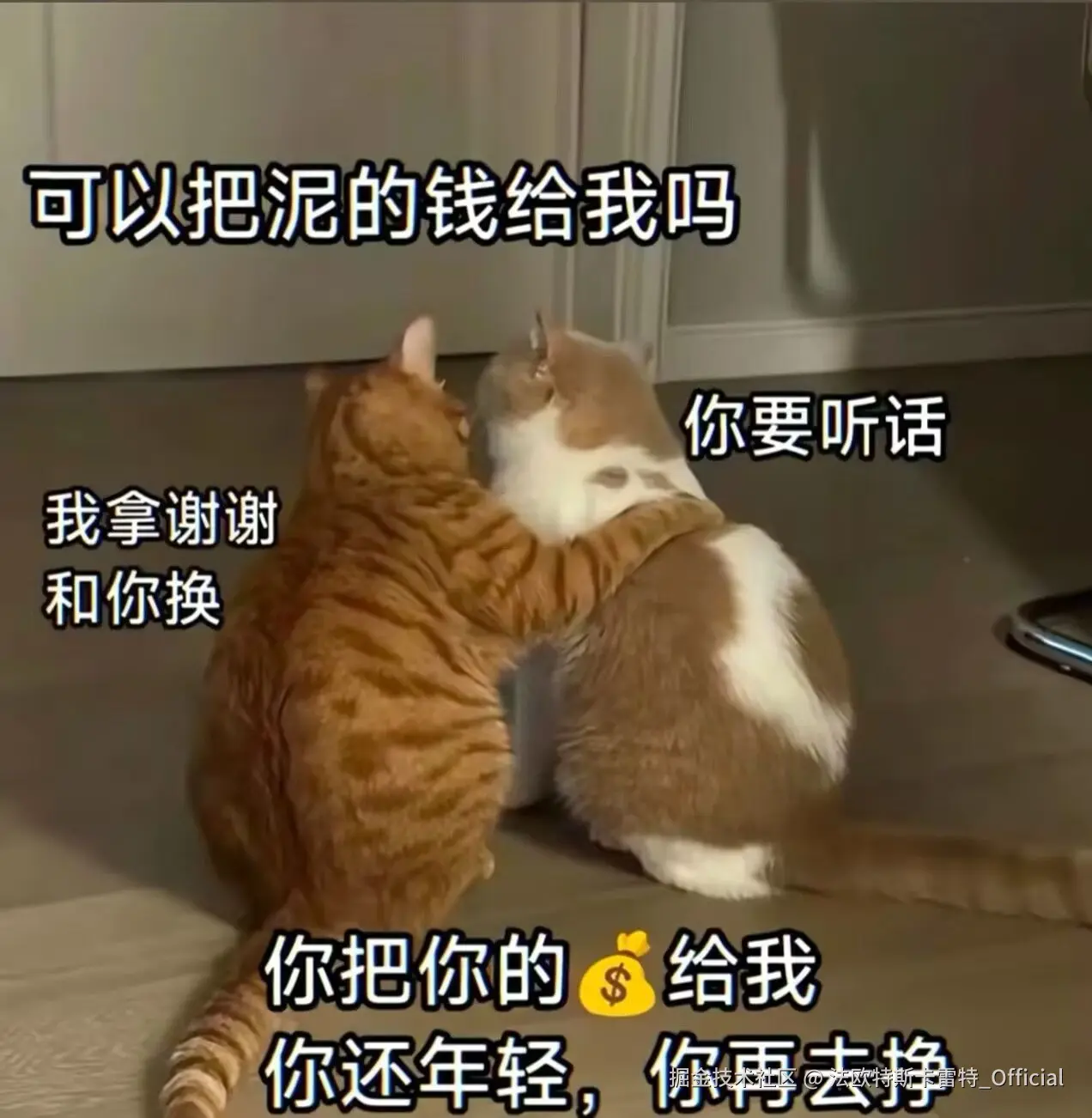 法欧特斯卡雷特_Official于2025-09-12 12:28发布的图片