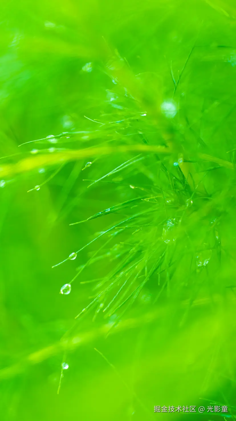 光影童于2025-08-06 09:16发布的图片