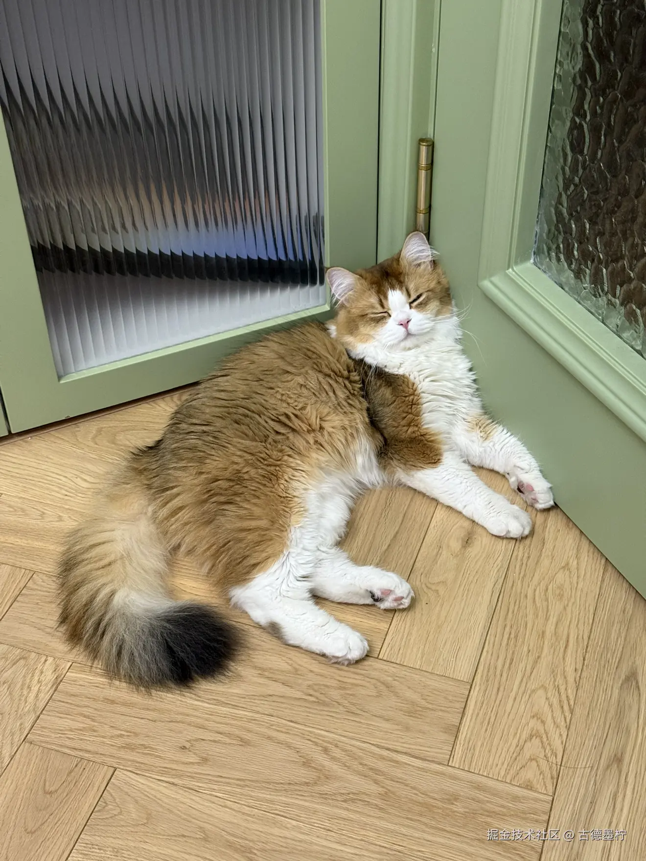 古德墨柠于2026-01-30 17:53发布的图片