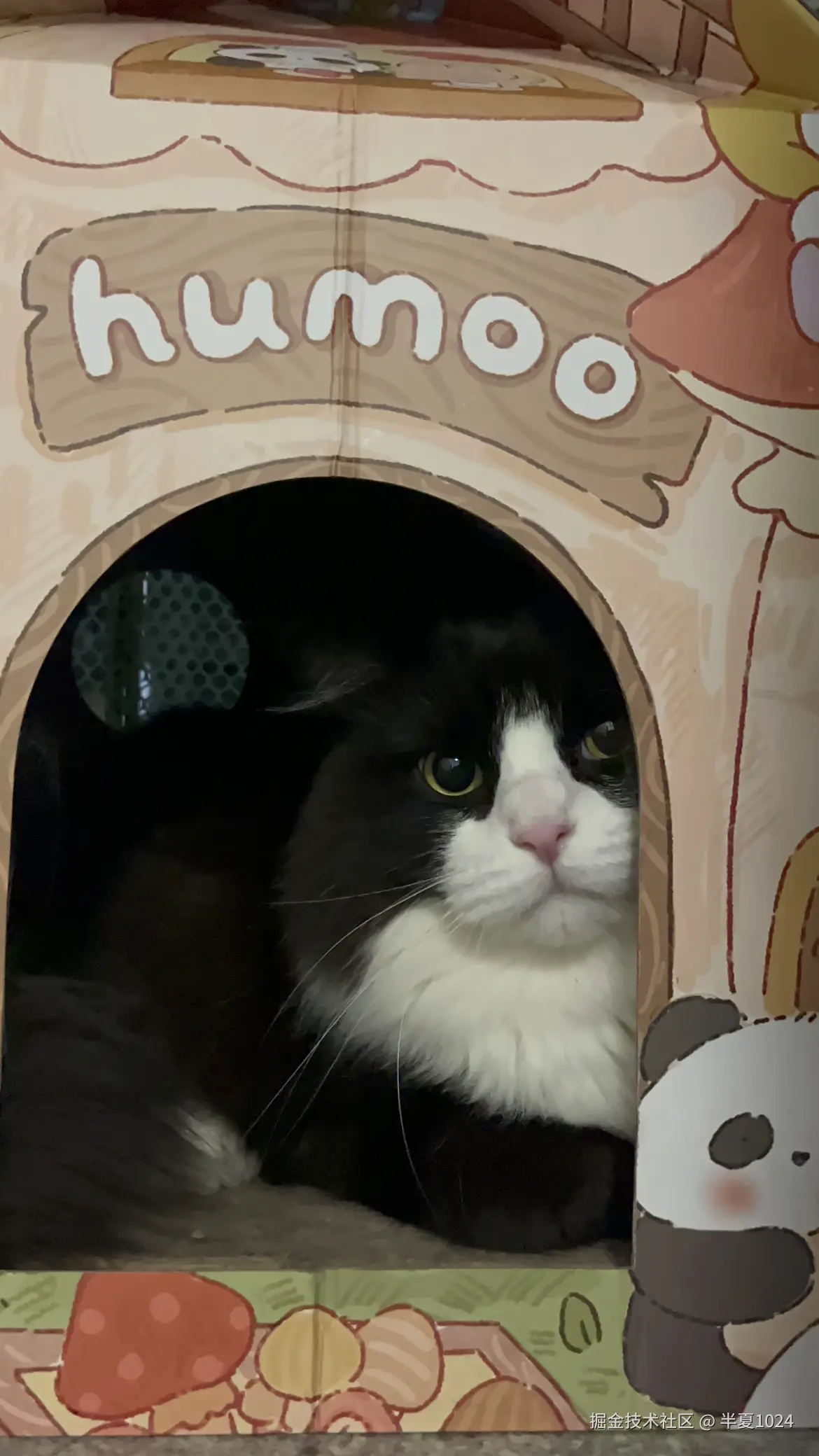 半夏1024于2024-11-08 13:52发布的图片