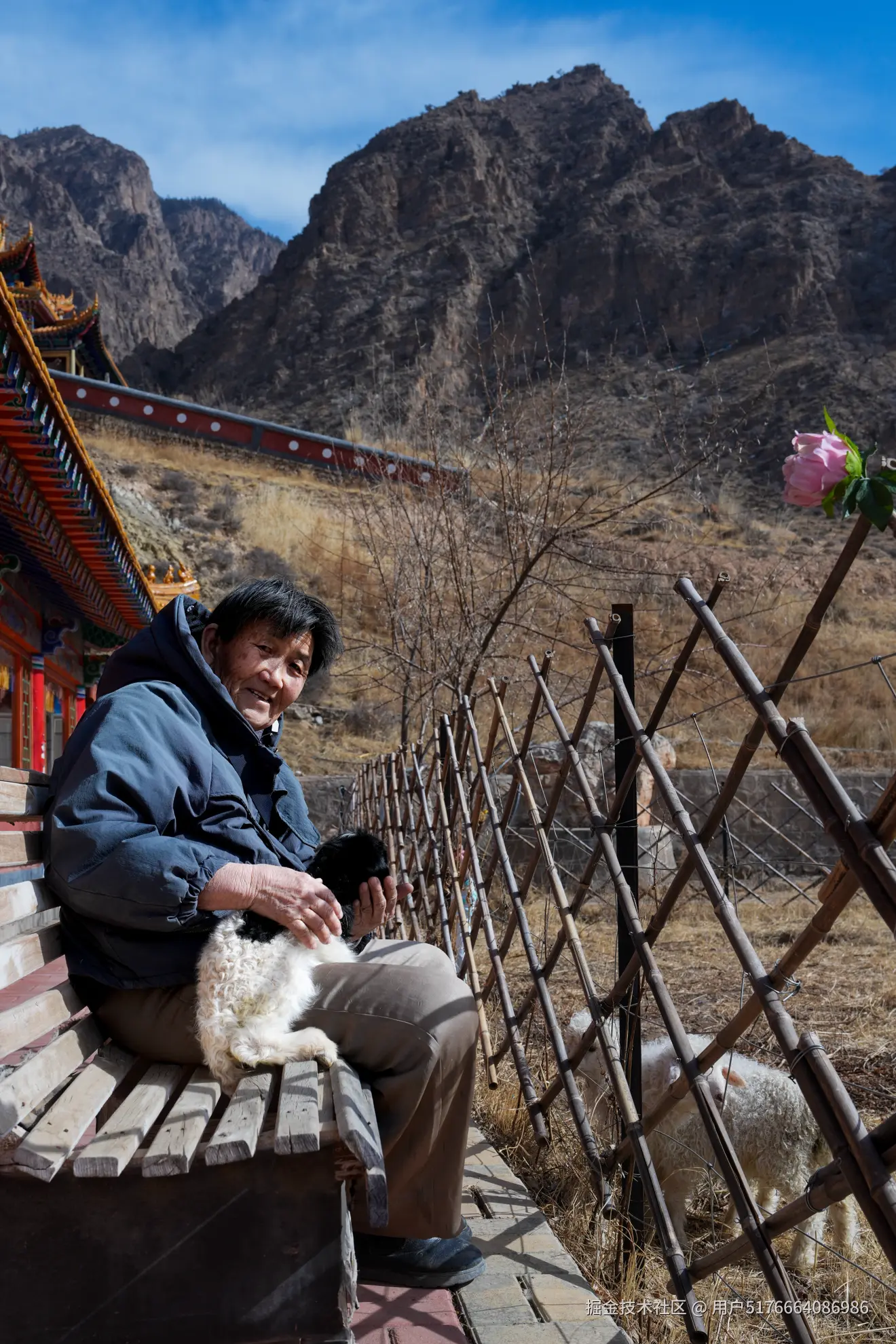 用户5176664086986于2026-02-24 13:49发布的图片