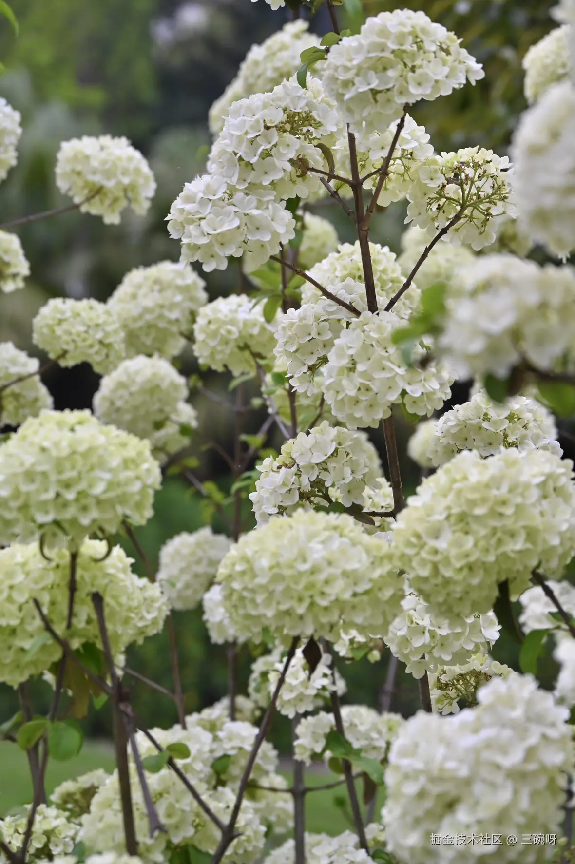 三碗呀于2025-04-07 10:03发布的图片