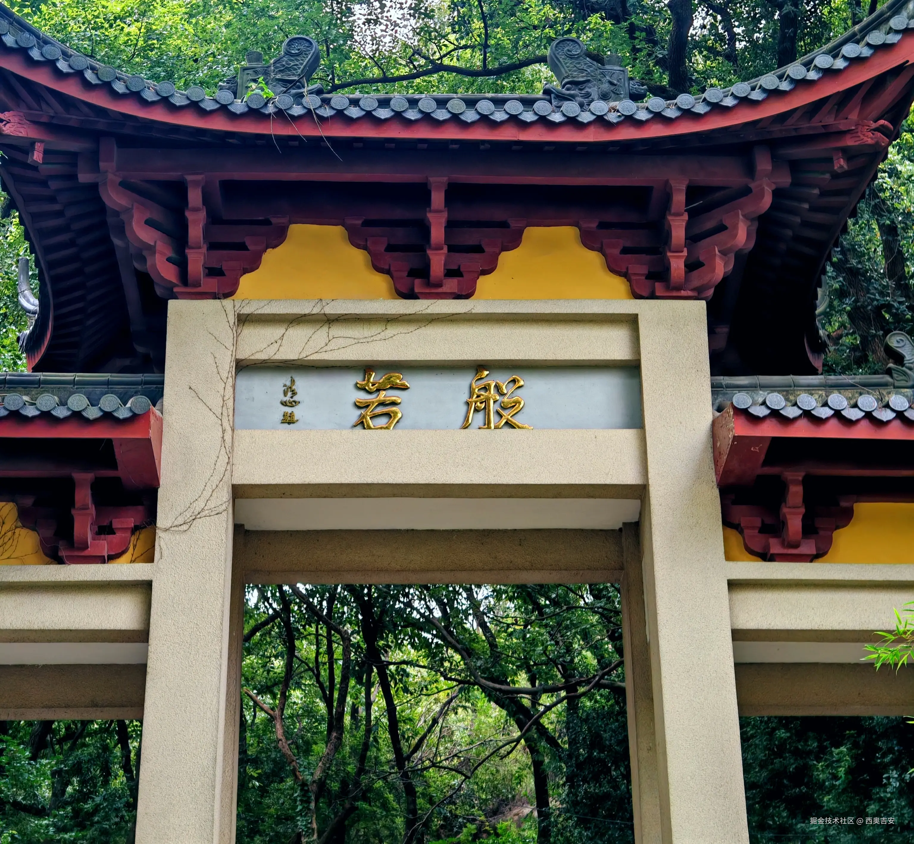 西奥吉安于2025-07-31 13:12发布的图片