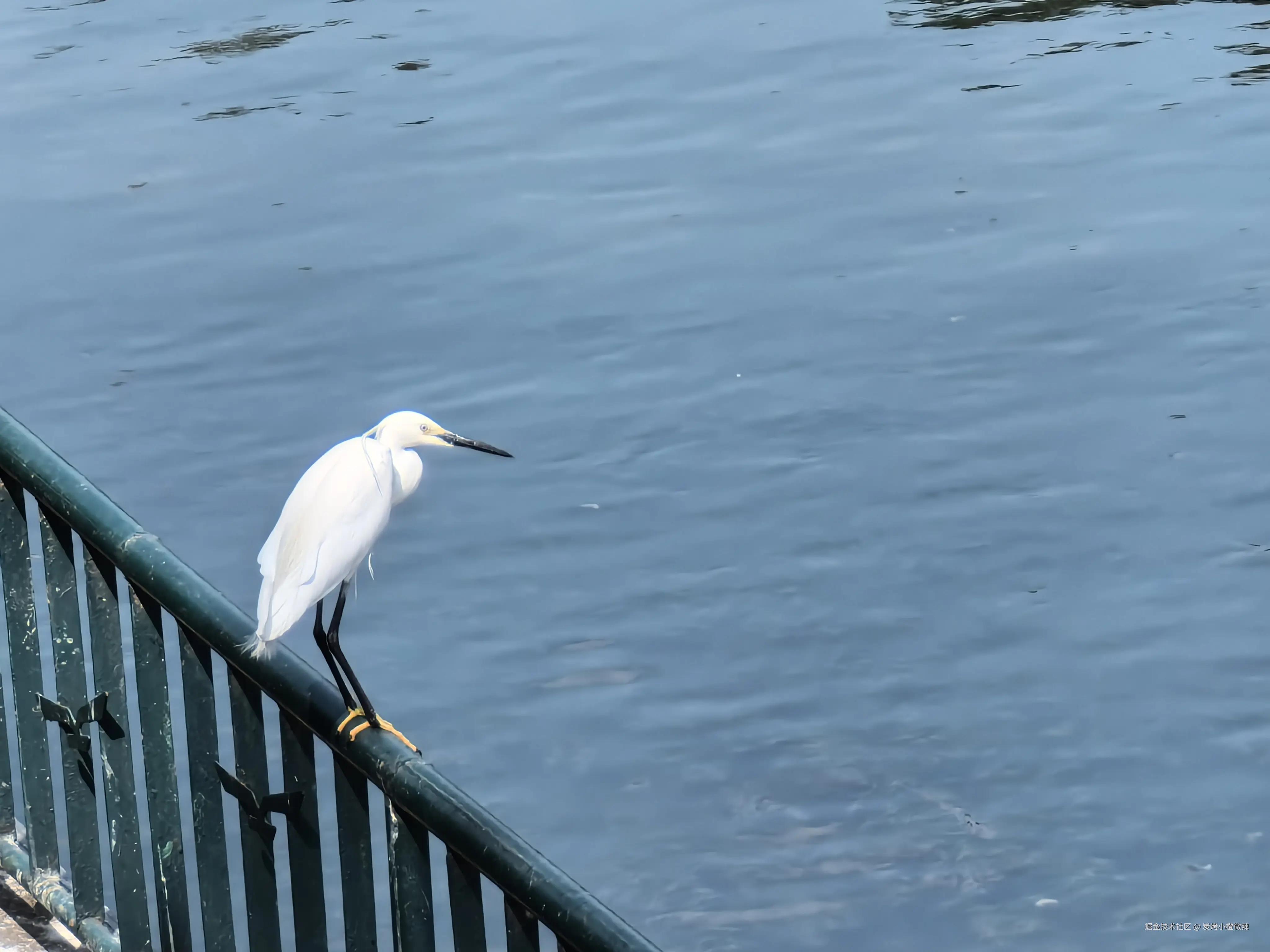 炭烤小橙微辣于2025-02-18 15:39发布的图片