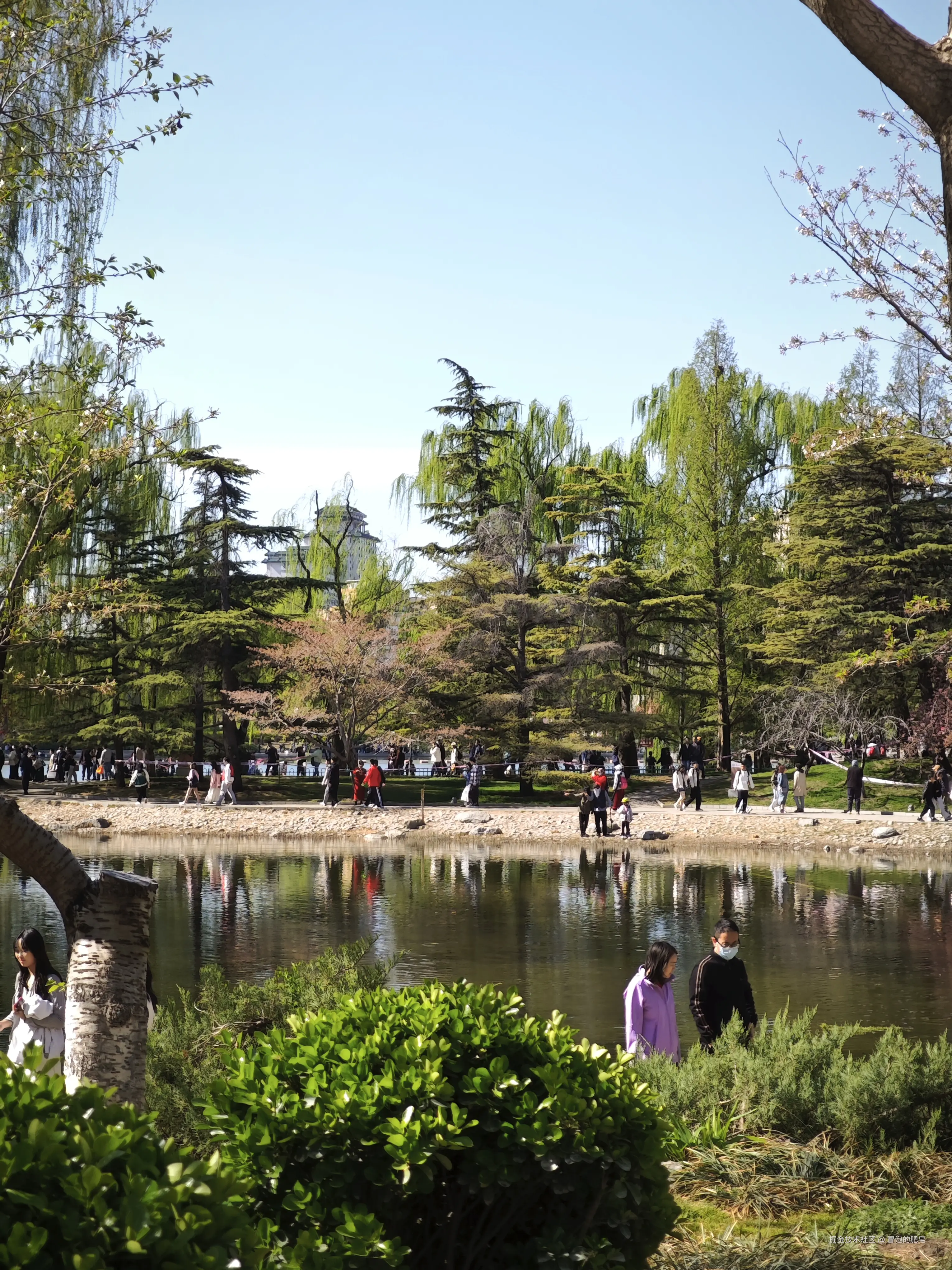 冒泡的肥皂于2025-04-05 11:12发布的图片