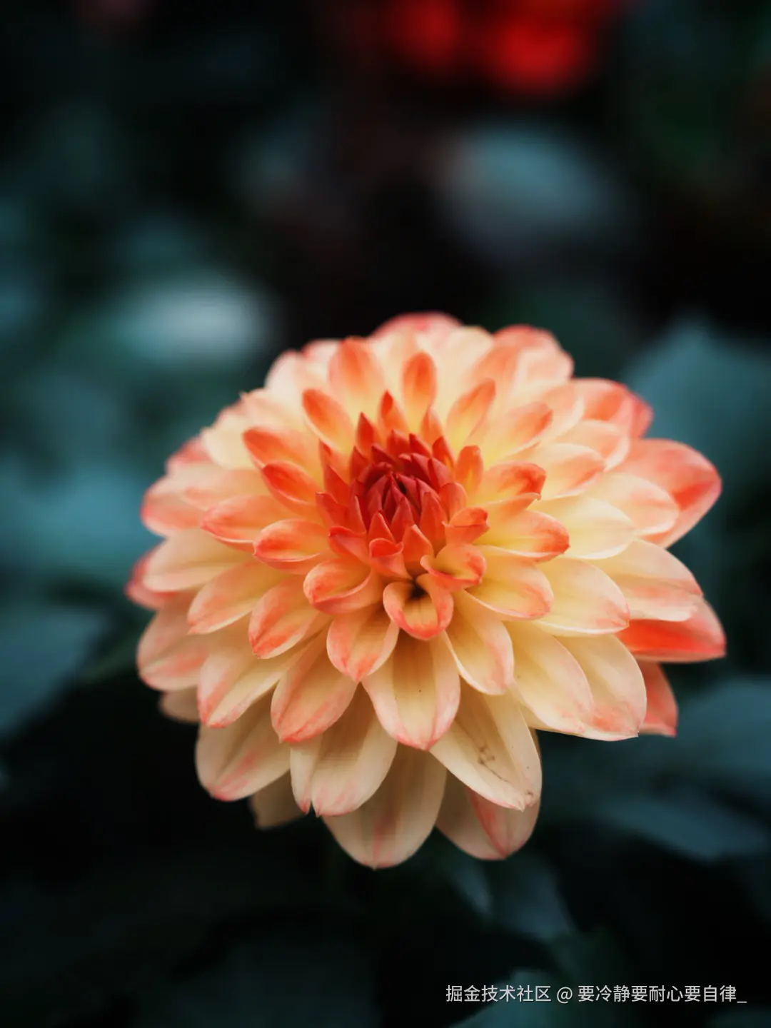 要冷静要耐心要自律_于2025-03-12 16:46发布的图片