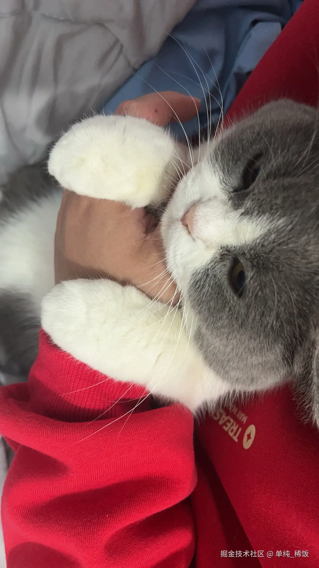 单纯_稀饭于2025-02-07 08:15发布的图片