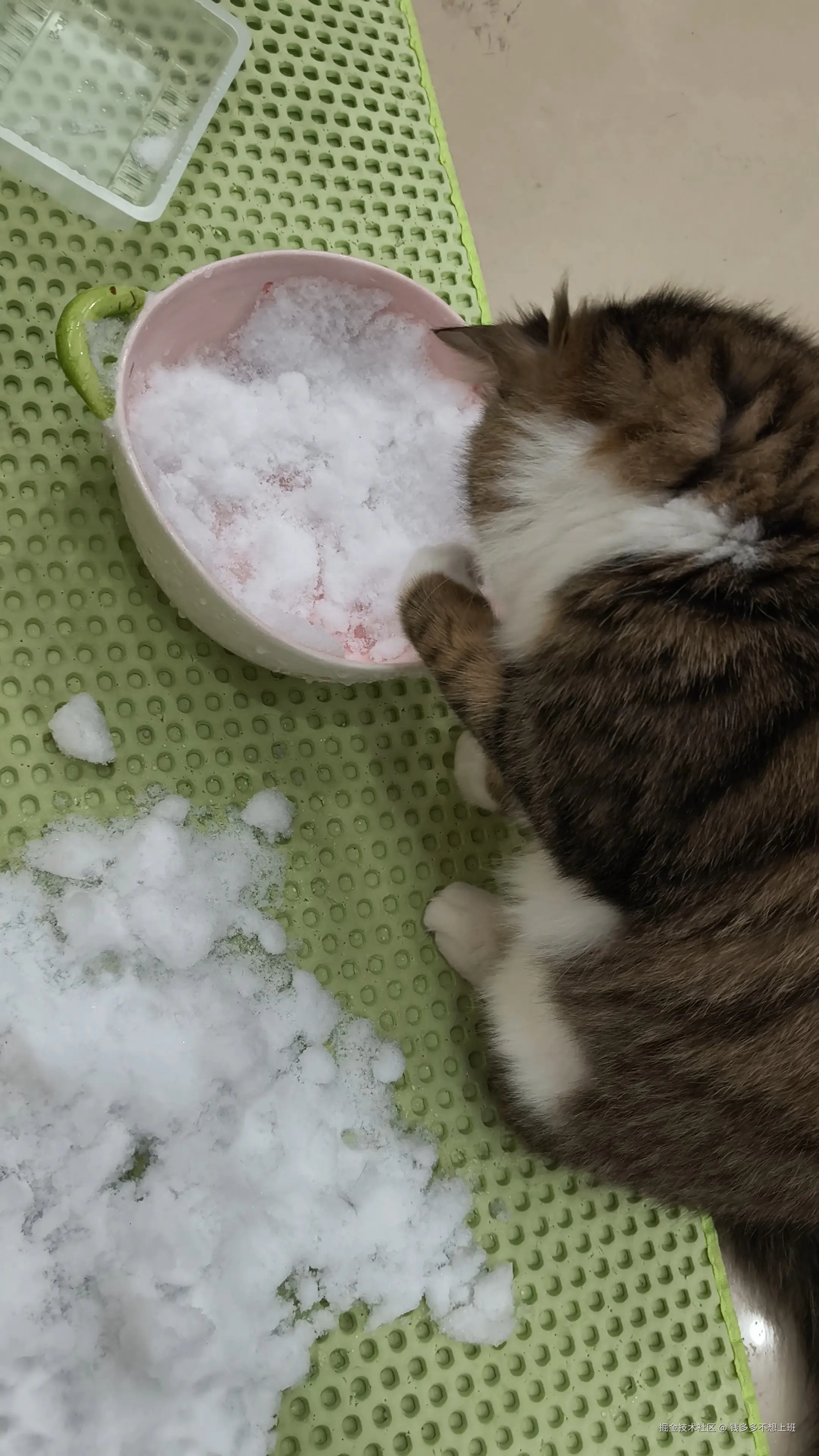 钱多多不想上班于2026-01-21 10:58发布的图片