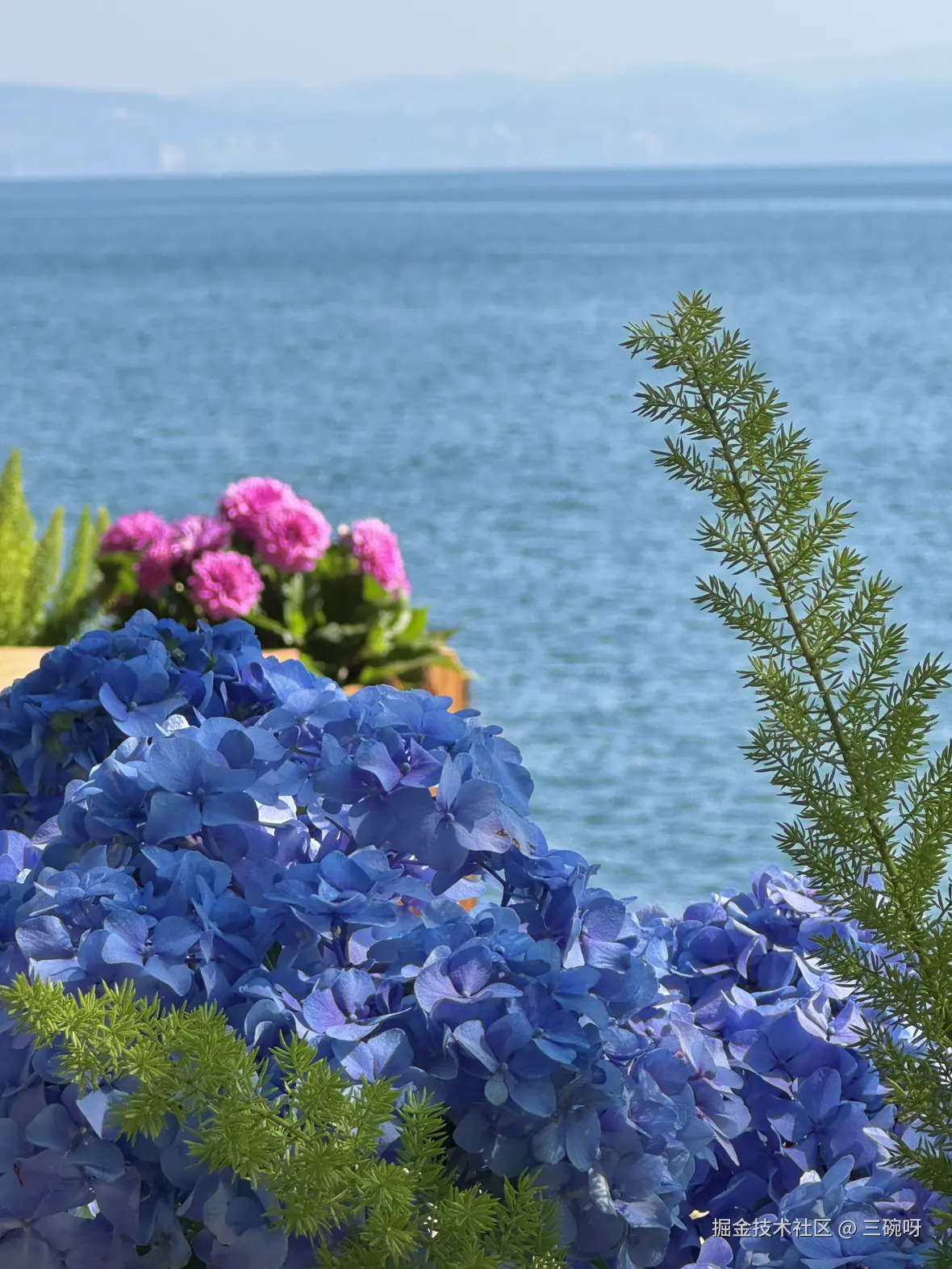 三碗呀于2026-03-12 13:06发布的图片