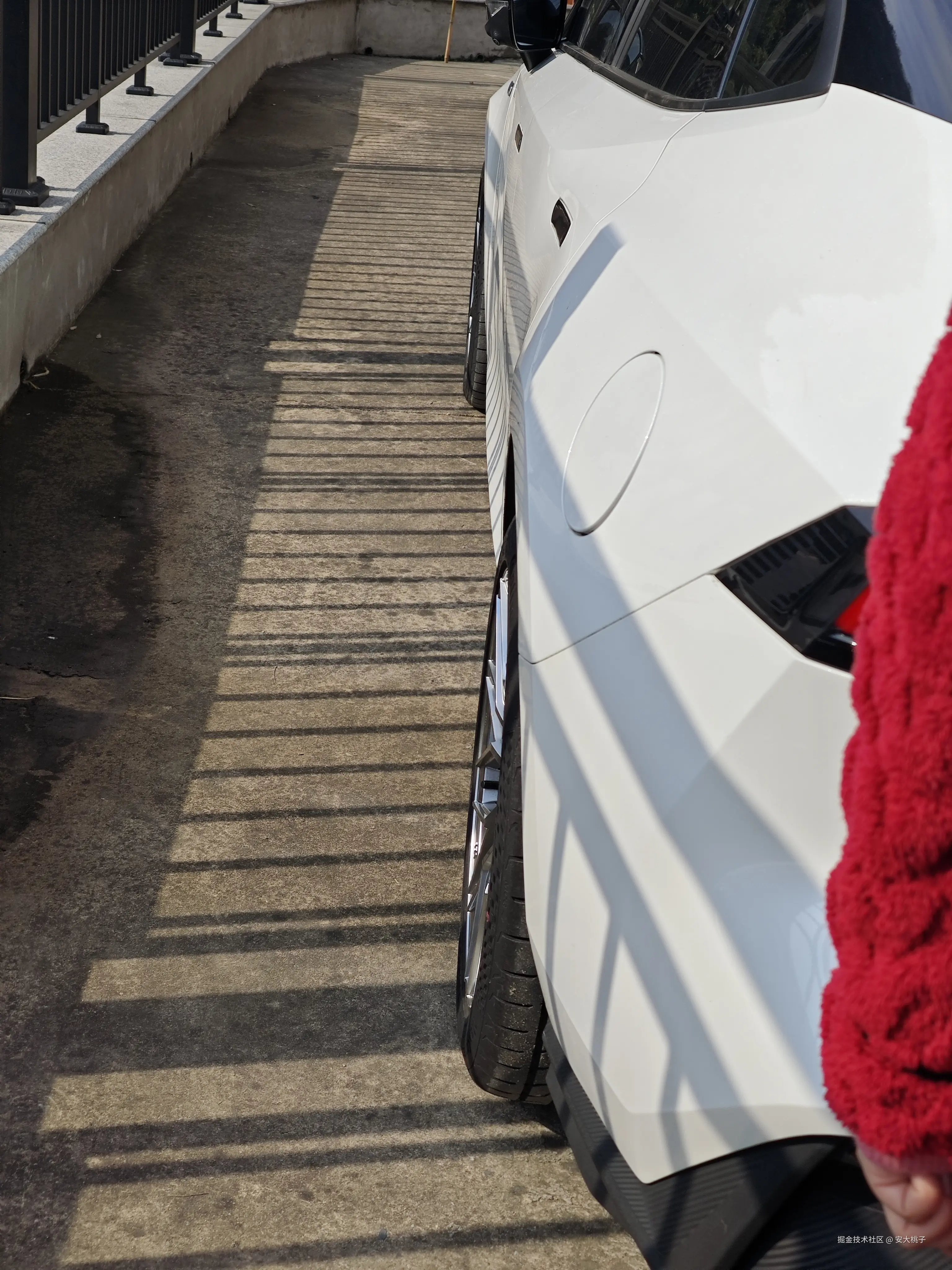 安大桃子于2026-02-10 12:34发布的图片