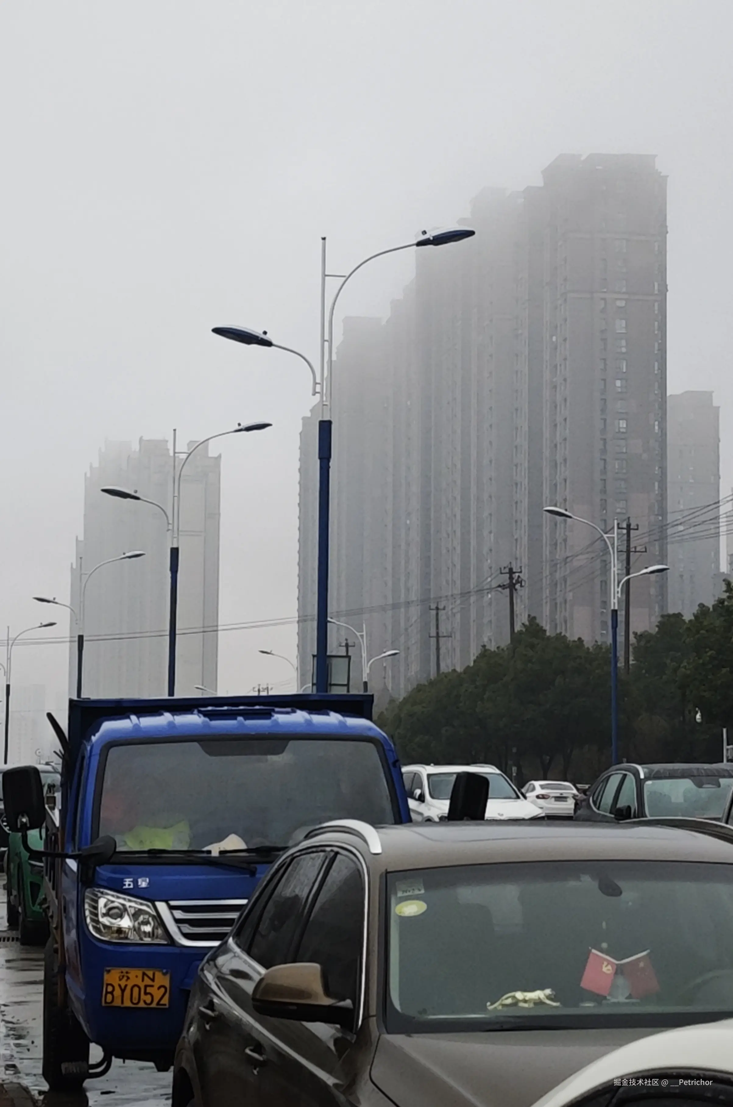 __Petrichor于2026-01-26 14:53发布的图片