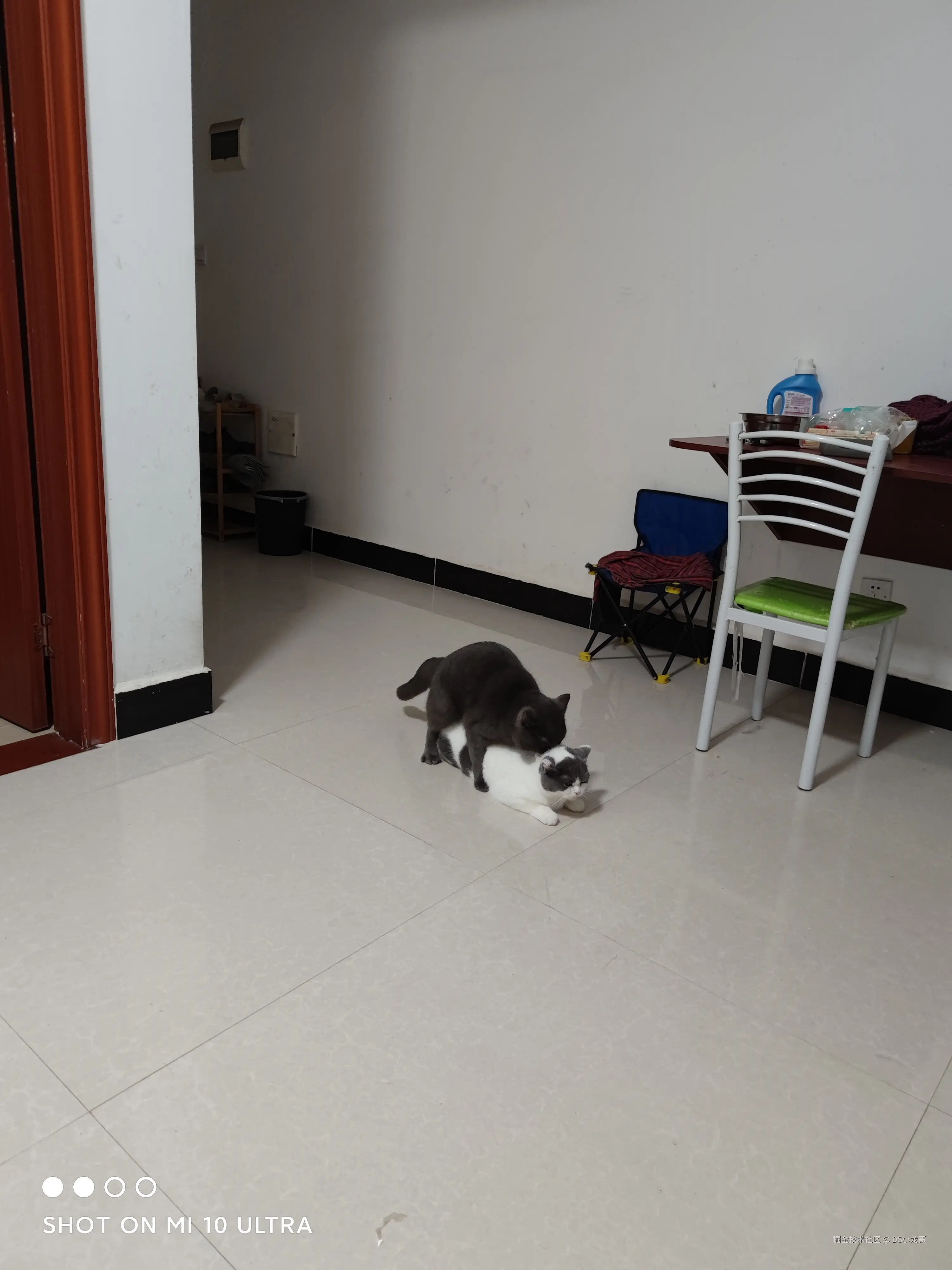 DS小龙哥于2025-07-14 07:26发布的图片