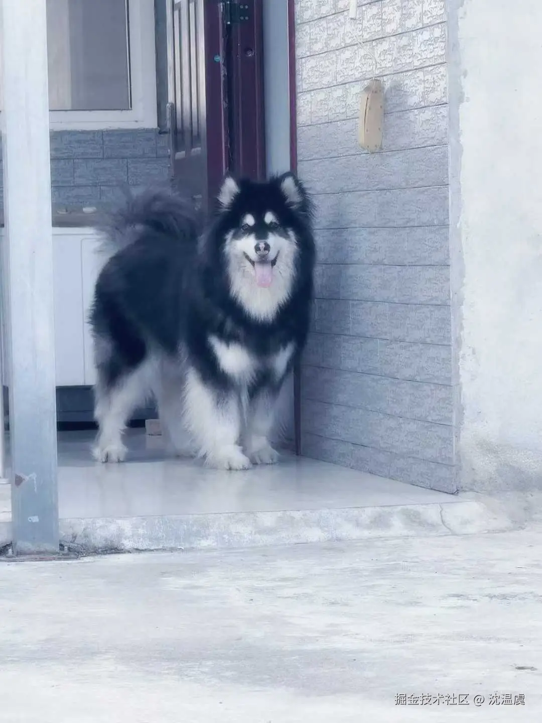 沈温虞于2026-02-09 14:39发布的图片