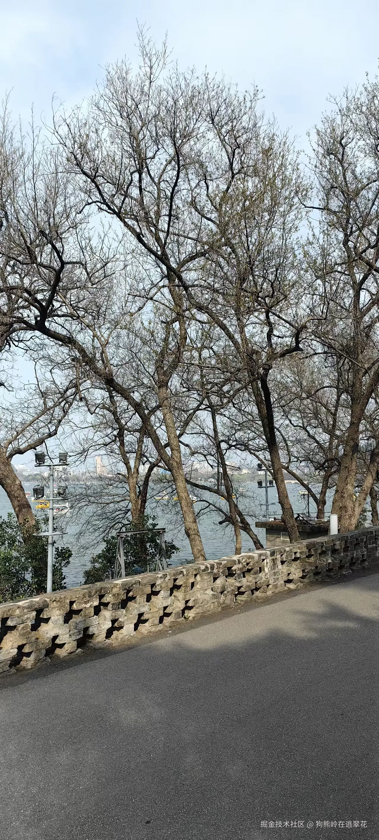 狗熊岭在逃翠花于2026-03-23 10:18发布的图片