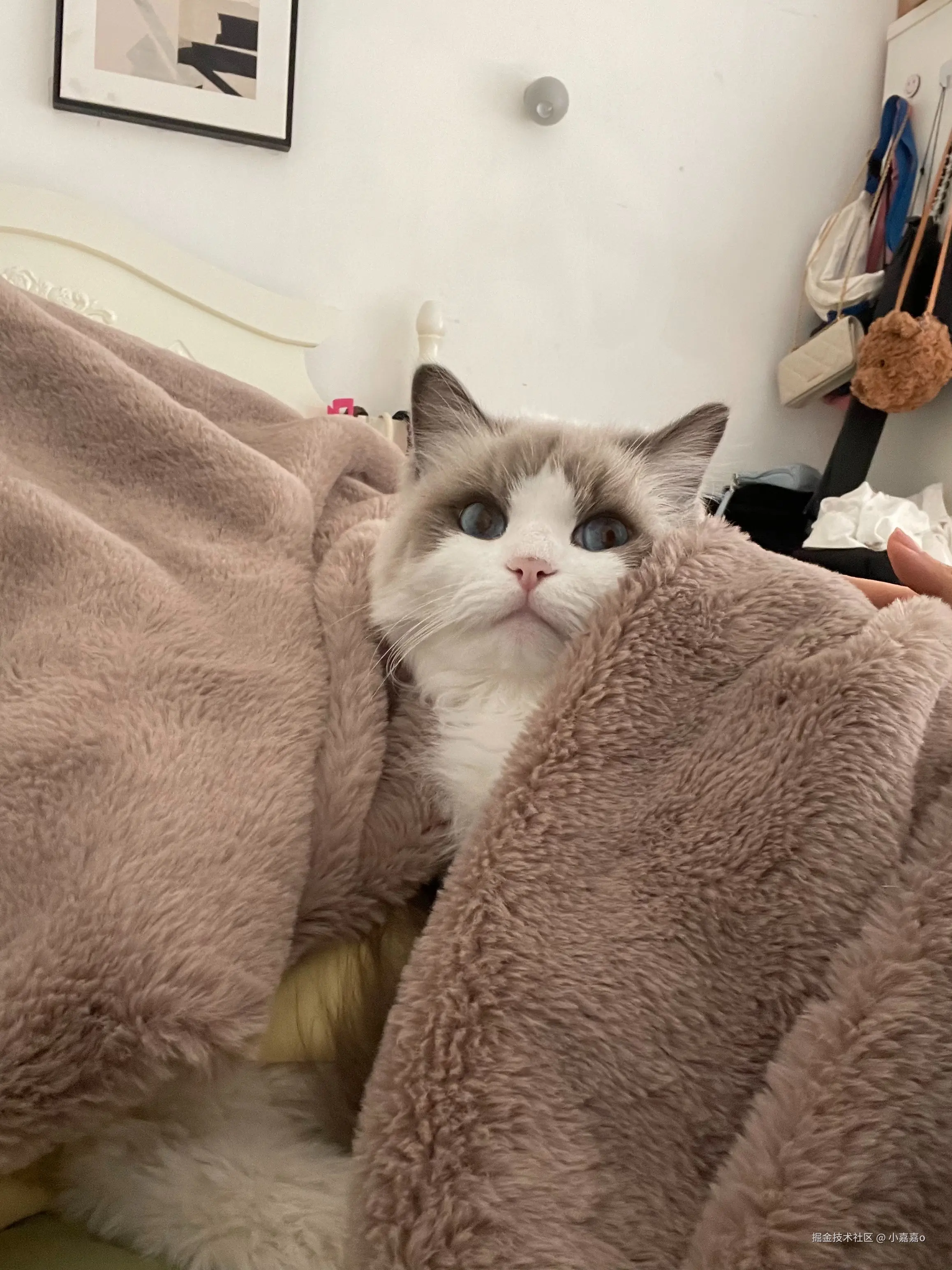 小嘉嘉o于2025-11-18 08:40发布的图片