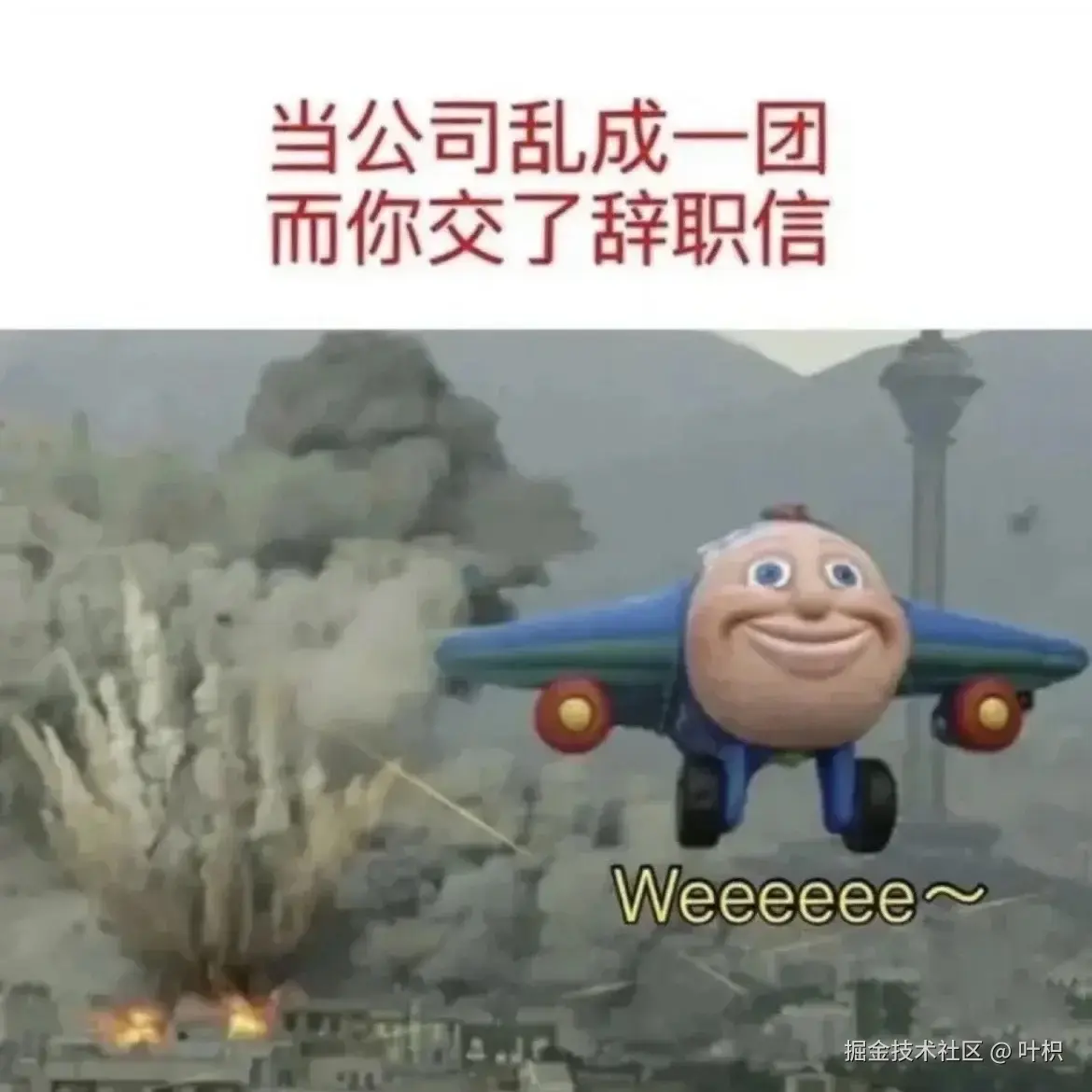 叶枳于2025-09-22 02:25发布的图片