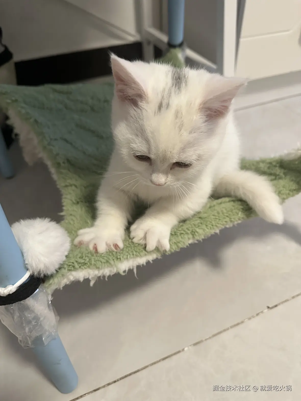 就爱吃火锅于2025-04-07 13:37发布的图片