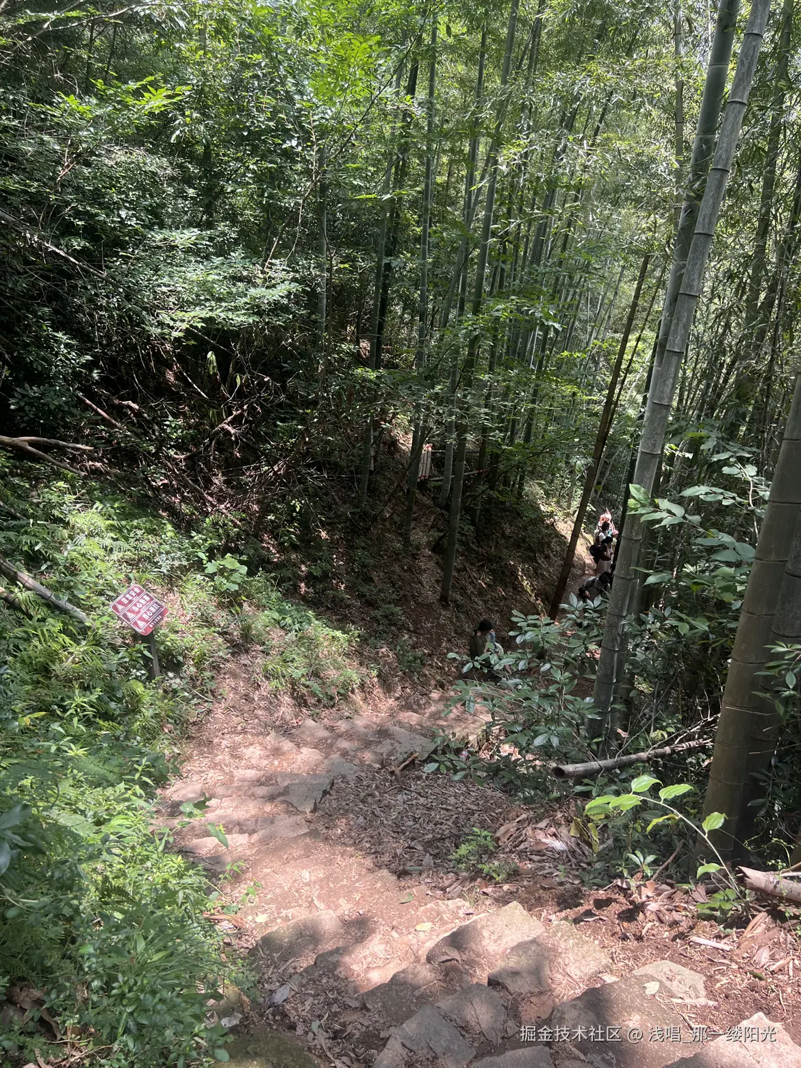 浅唱_那一缕阳光于2026-01-09 10:56发布的图片