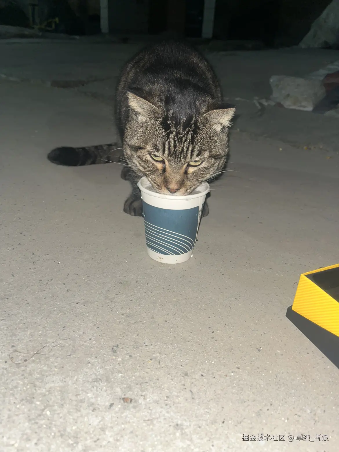 单纯_稀饭于2025-10-31 18:19发布的图片