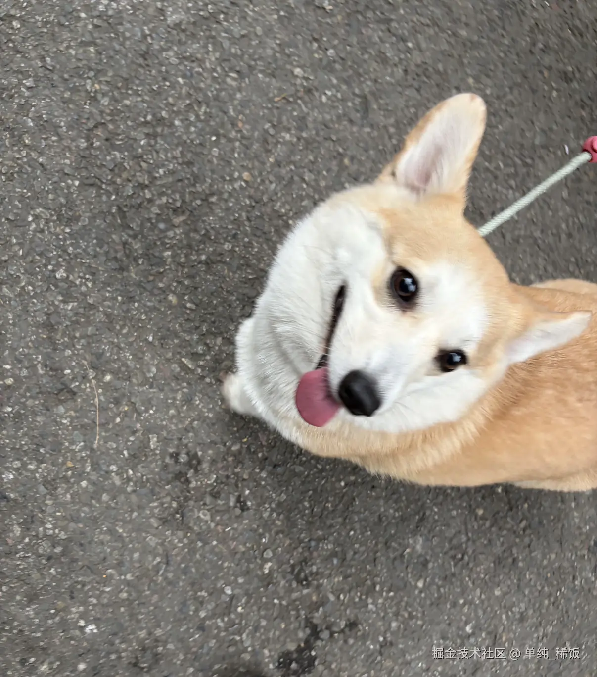 单纯_稀饭于2026-03-12 17:25发布的图片