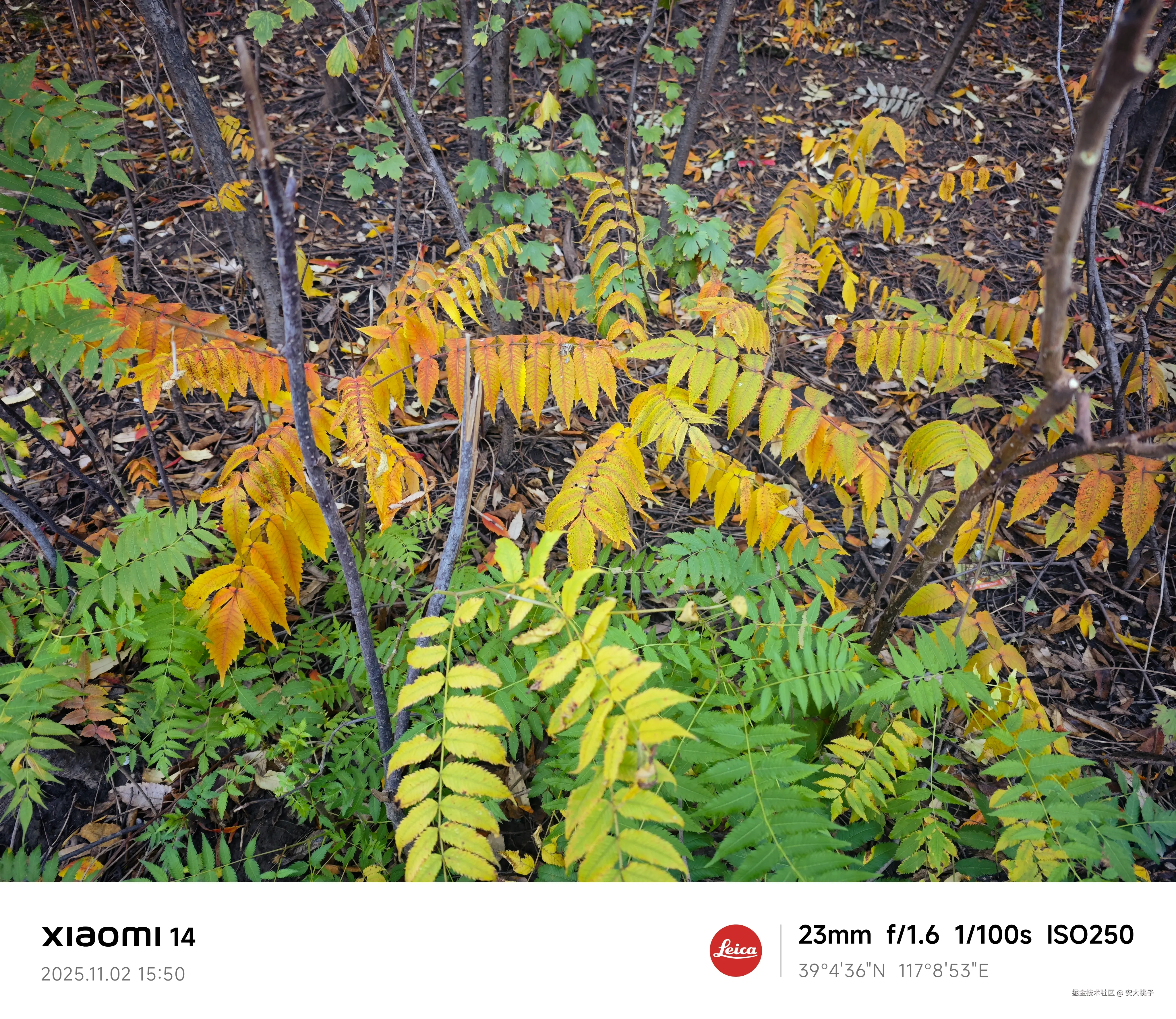 安大桃子于2025-11-02 16:48发布的图片