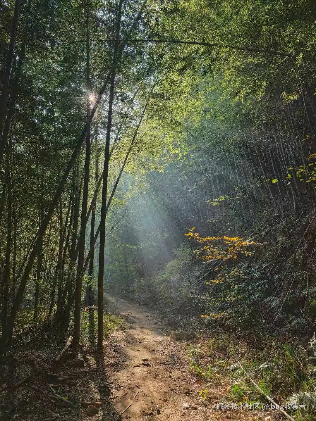 bug收集者于2025-11-24 03:04发布的图片